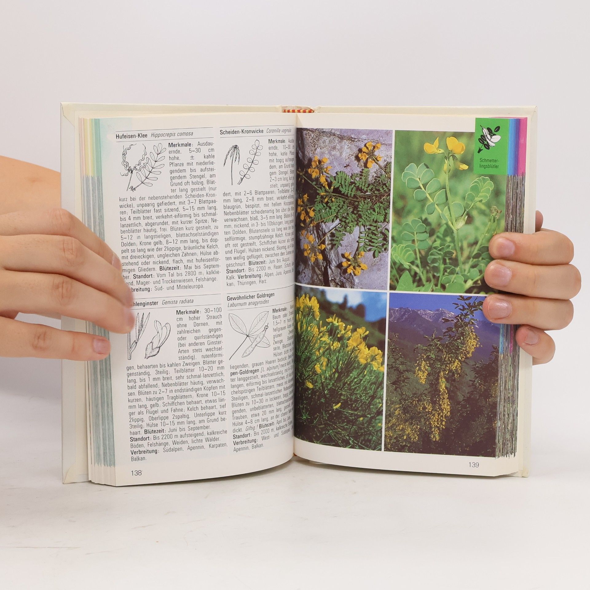Various authors Alpen Blumen