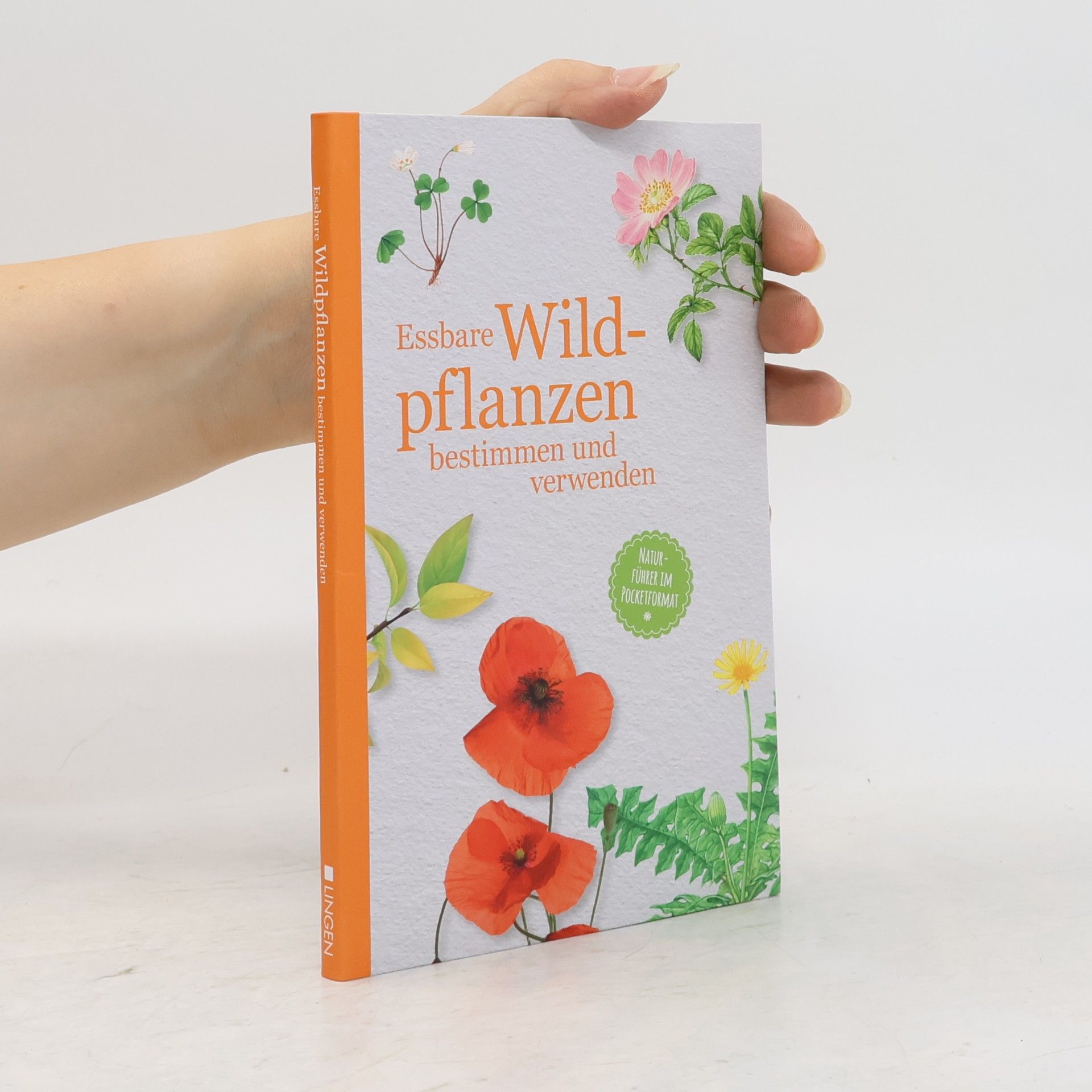 Autorenkollektiv Essbare Wildpflanzen bestimmen und verwenden