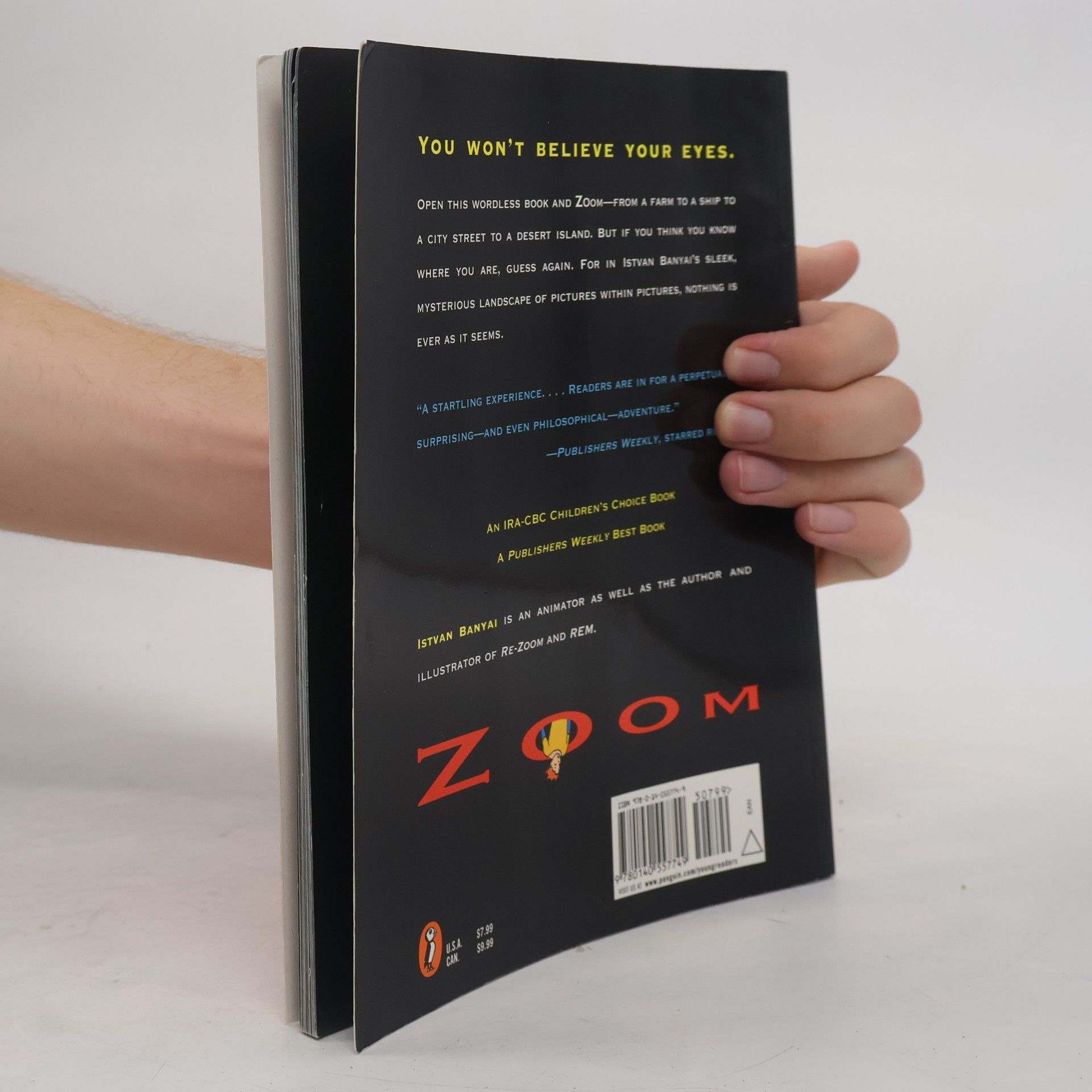 Istvan Banyai Zoom, English edition