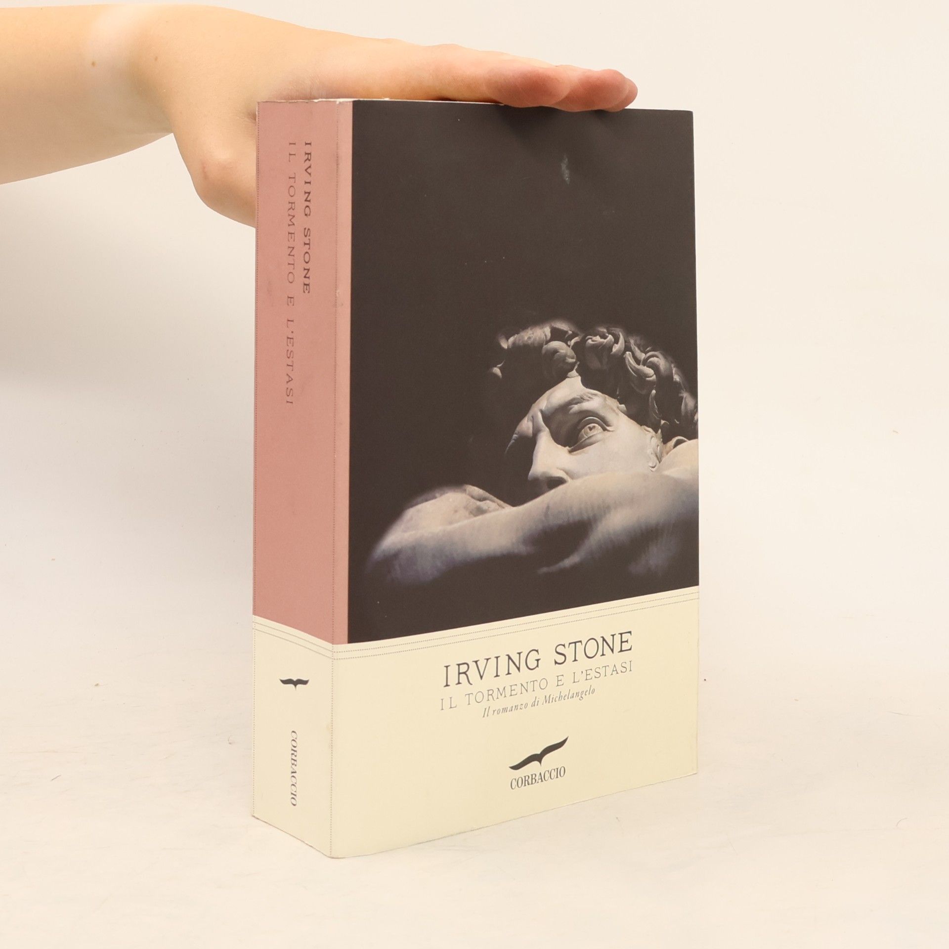 Irving Stone Il tormento e l'estasi