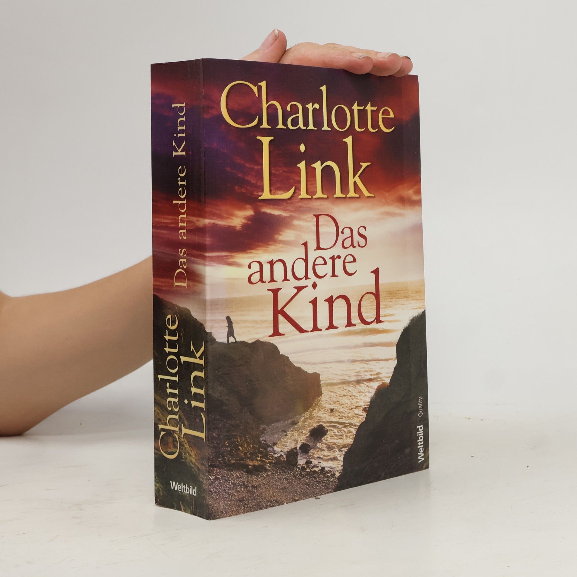 Charlotte Link Das andere Kind
