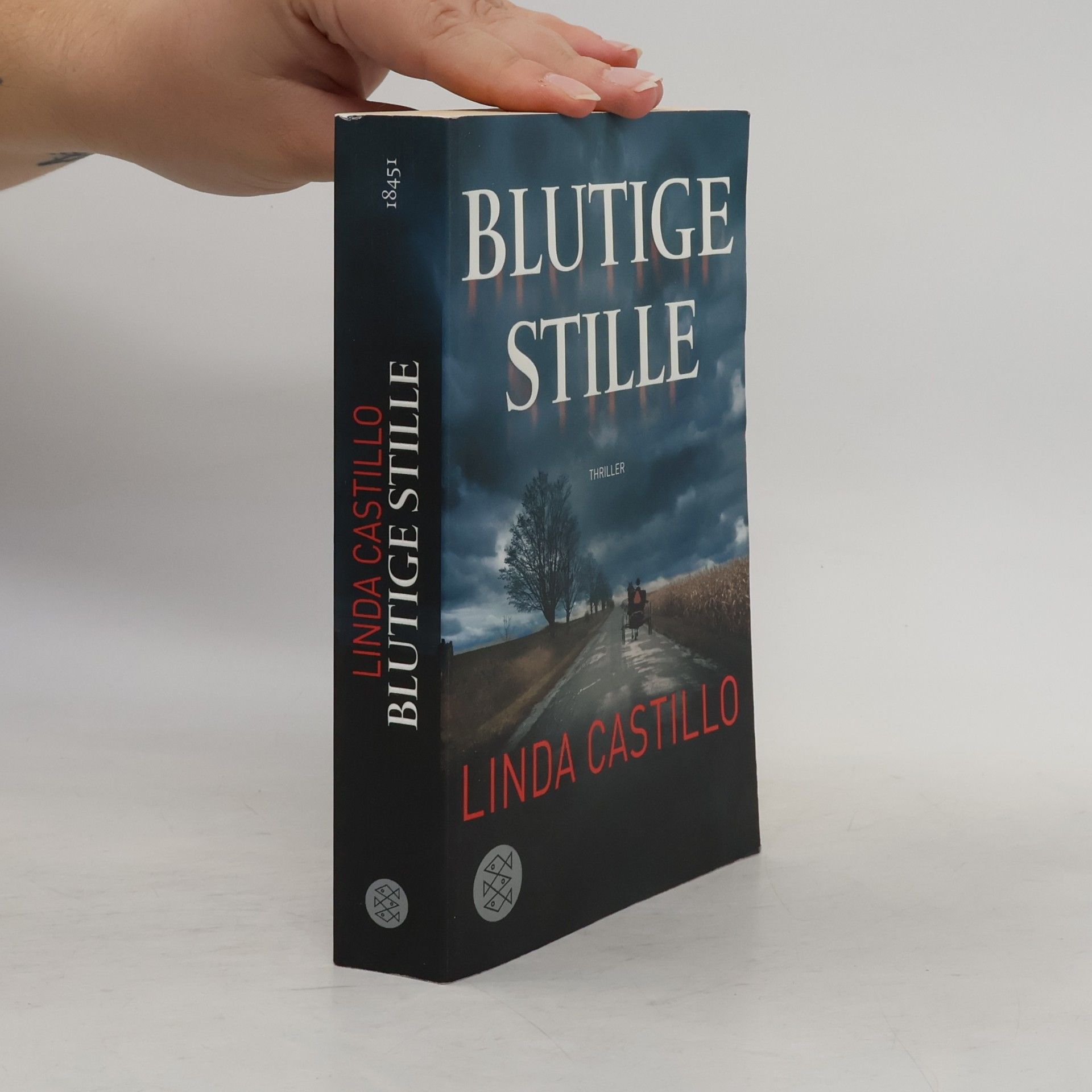 Linda Castillo Blutige Stille