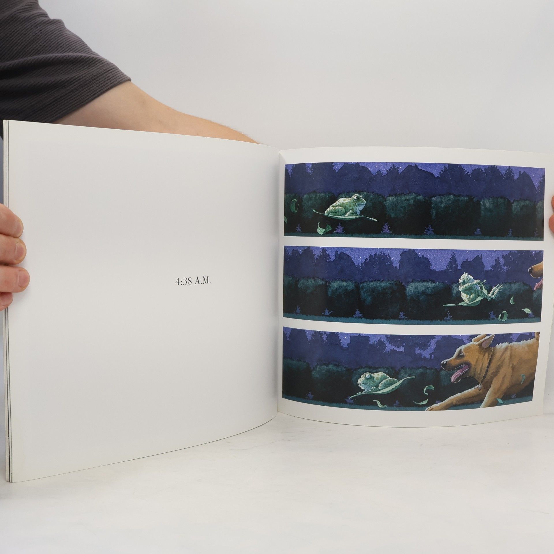 David Wiesner Tuesday