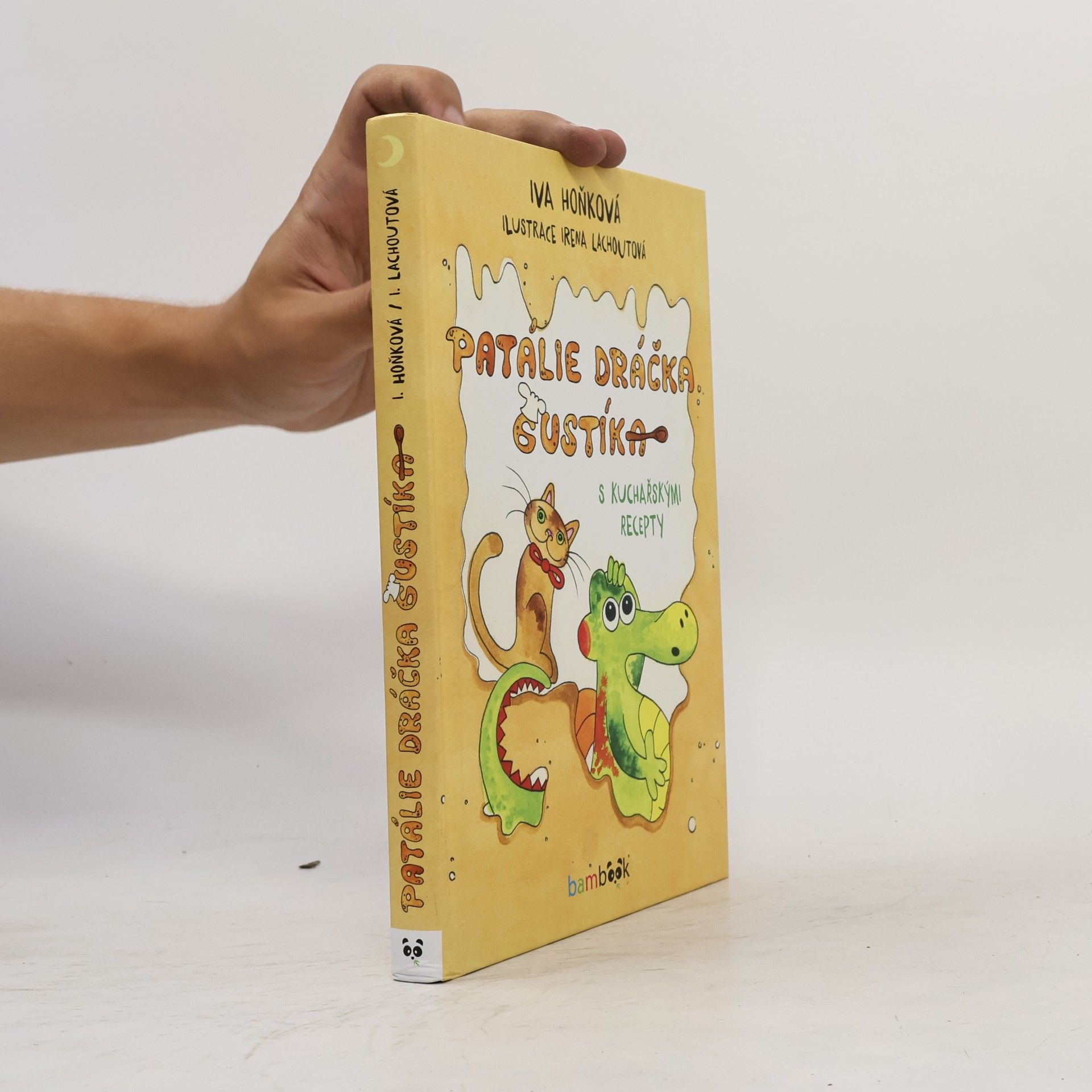 Vladimíra Hoňková Patálie dráčka Gustíka