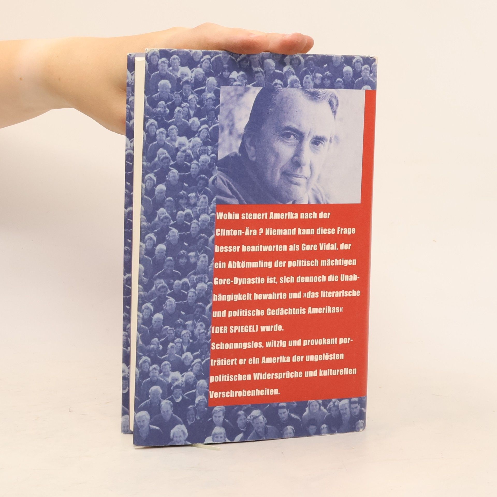 Gore Vidal Das ist nicht Amerika!