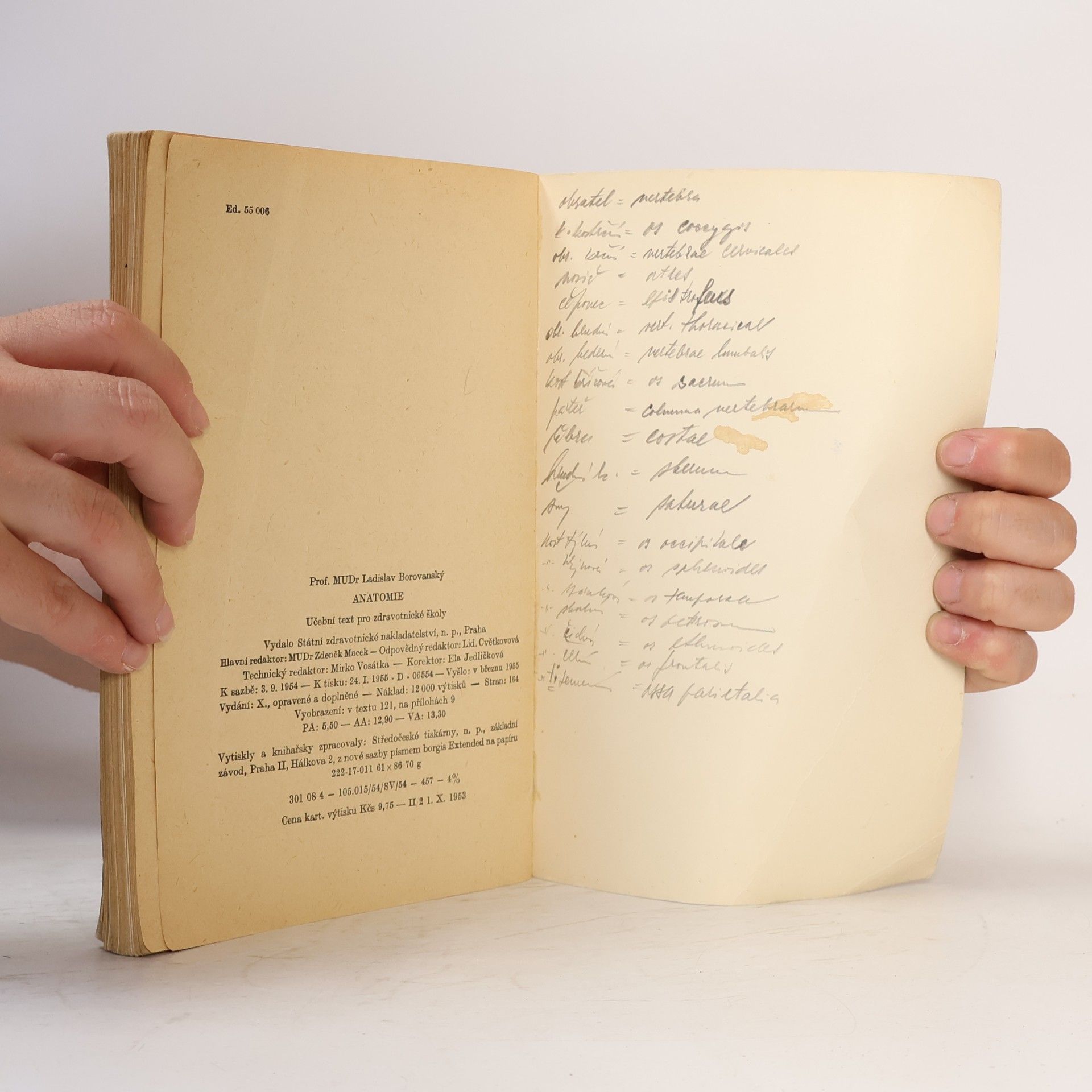 Ladislav Borovanský Anatomie