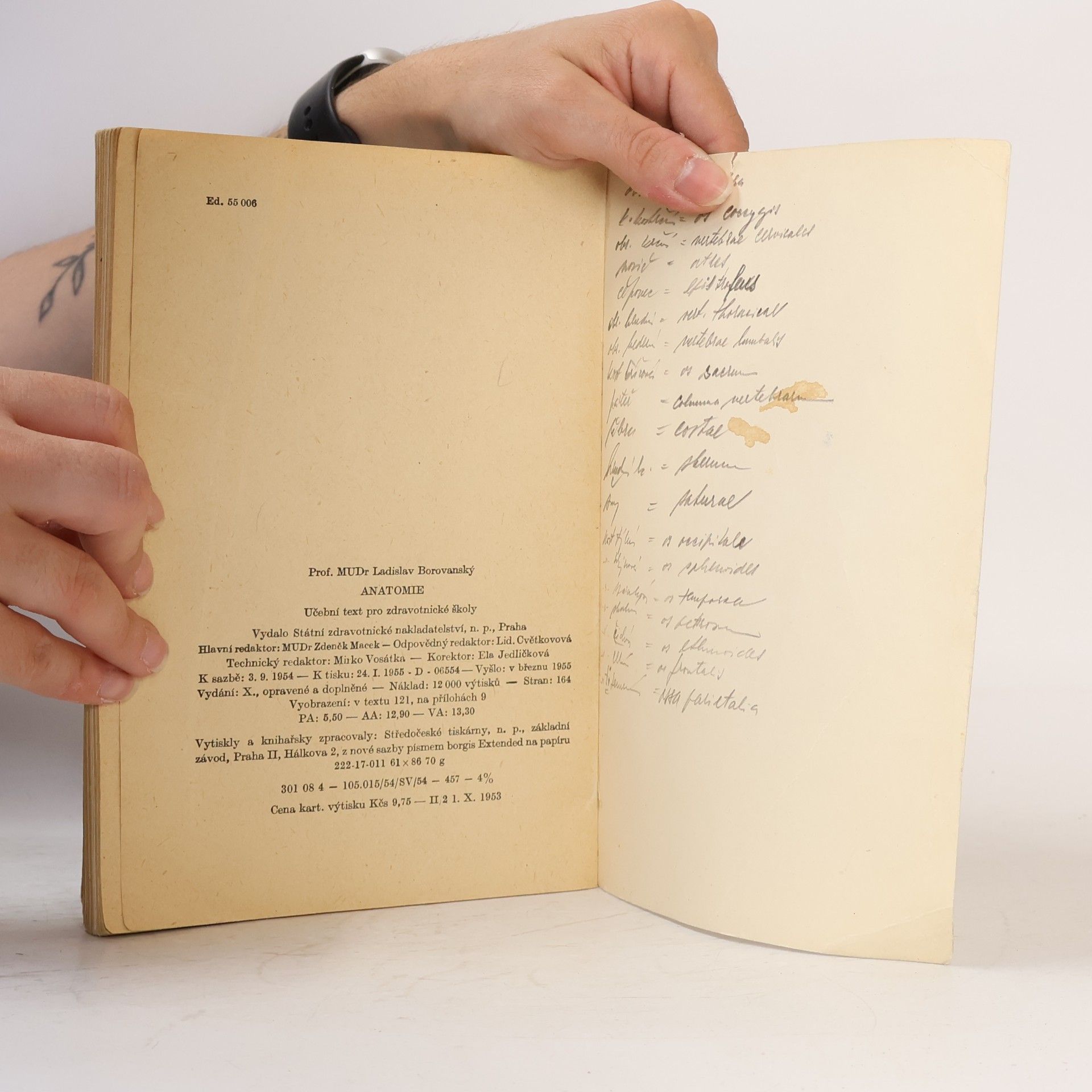 Ladislav Borovanský Anatomie