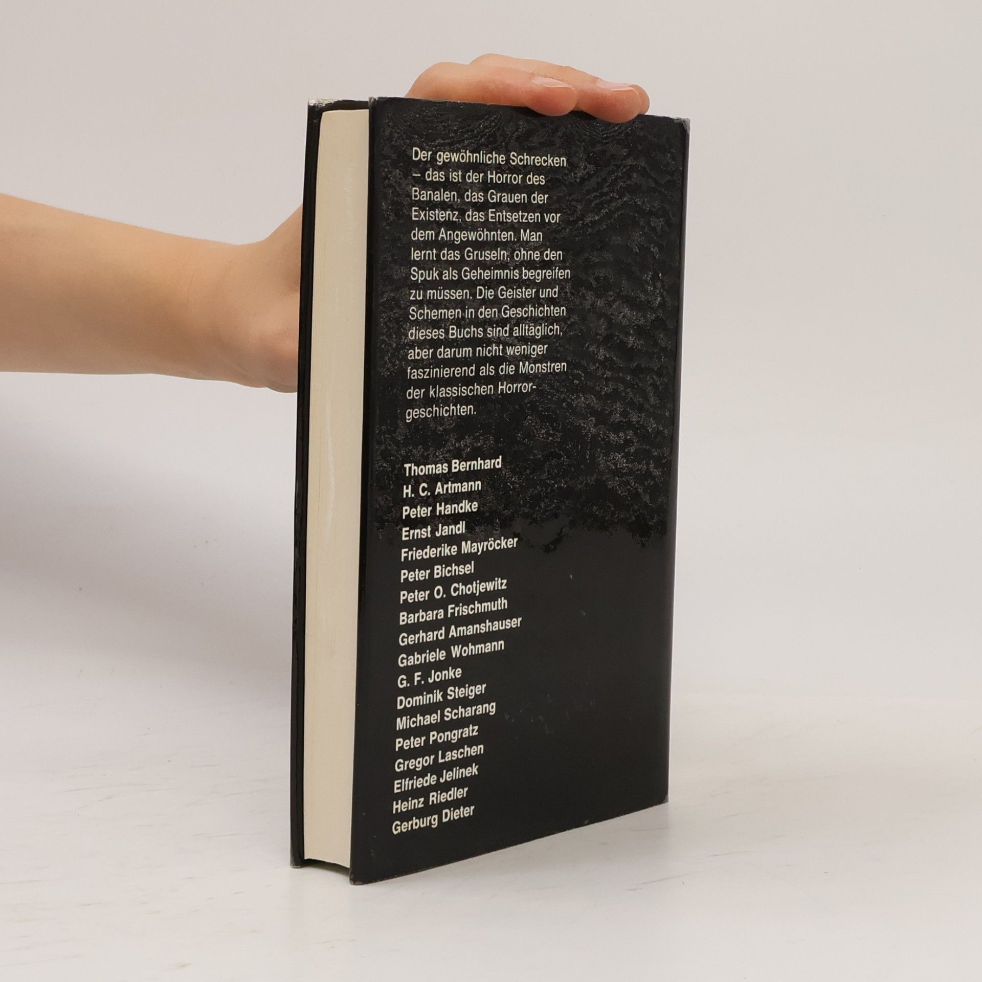 Peter Handke Der gewöhnliche Schrecken