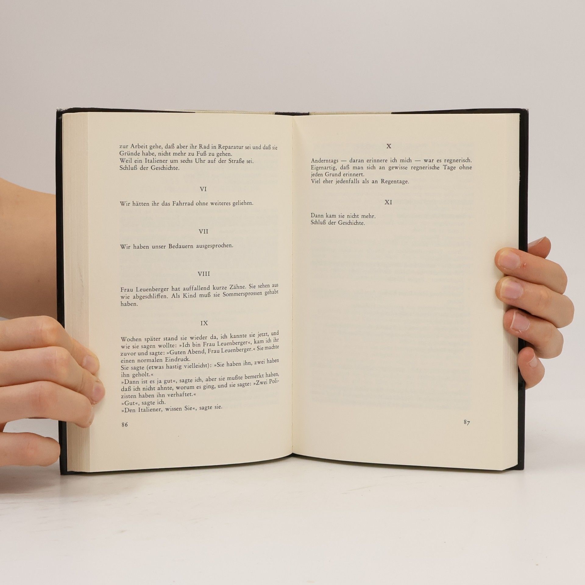 Peter Handke Der gewöhnliche Schrecken