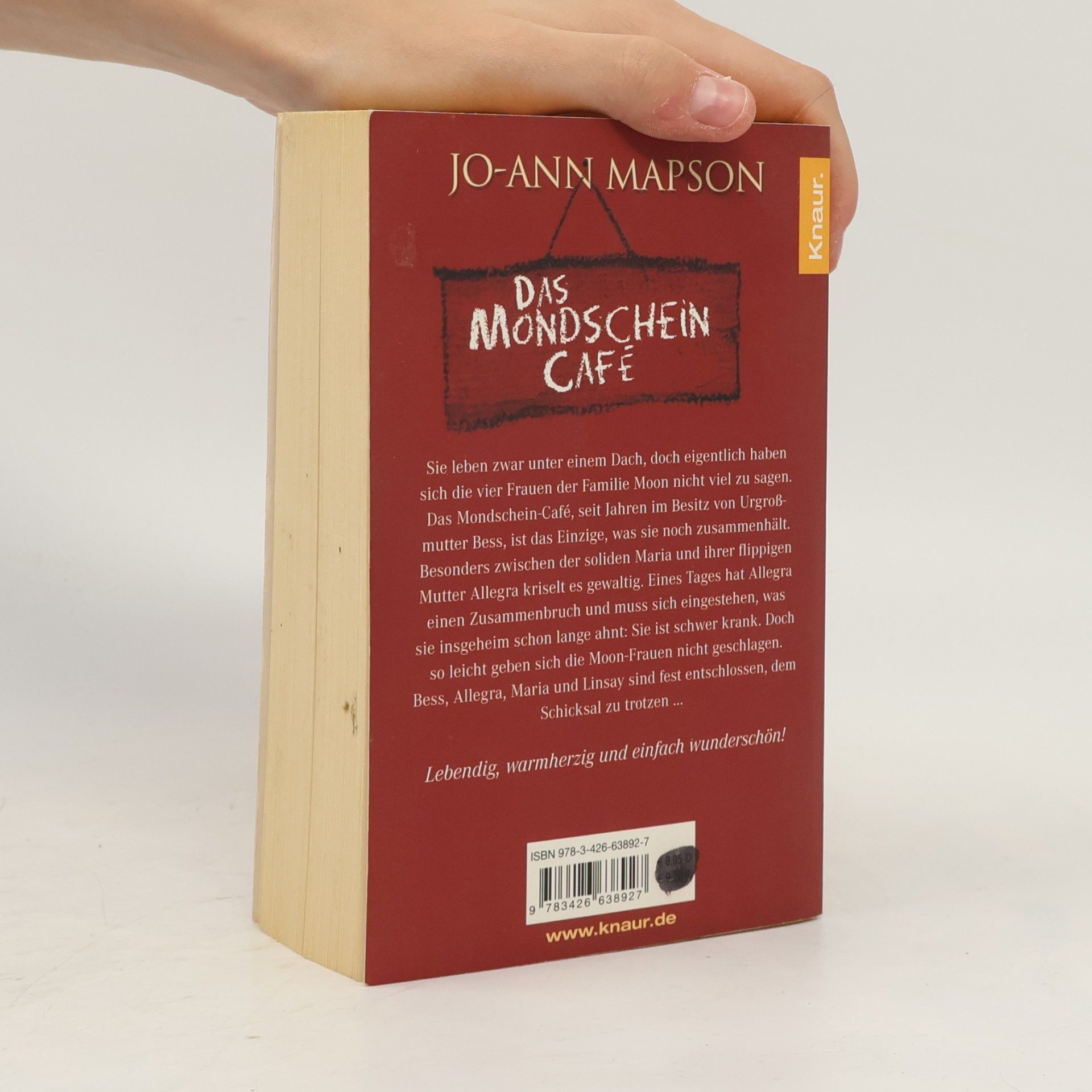 Jo-Ann Mapson Das Mondschein-Café