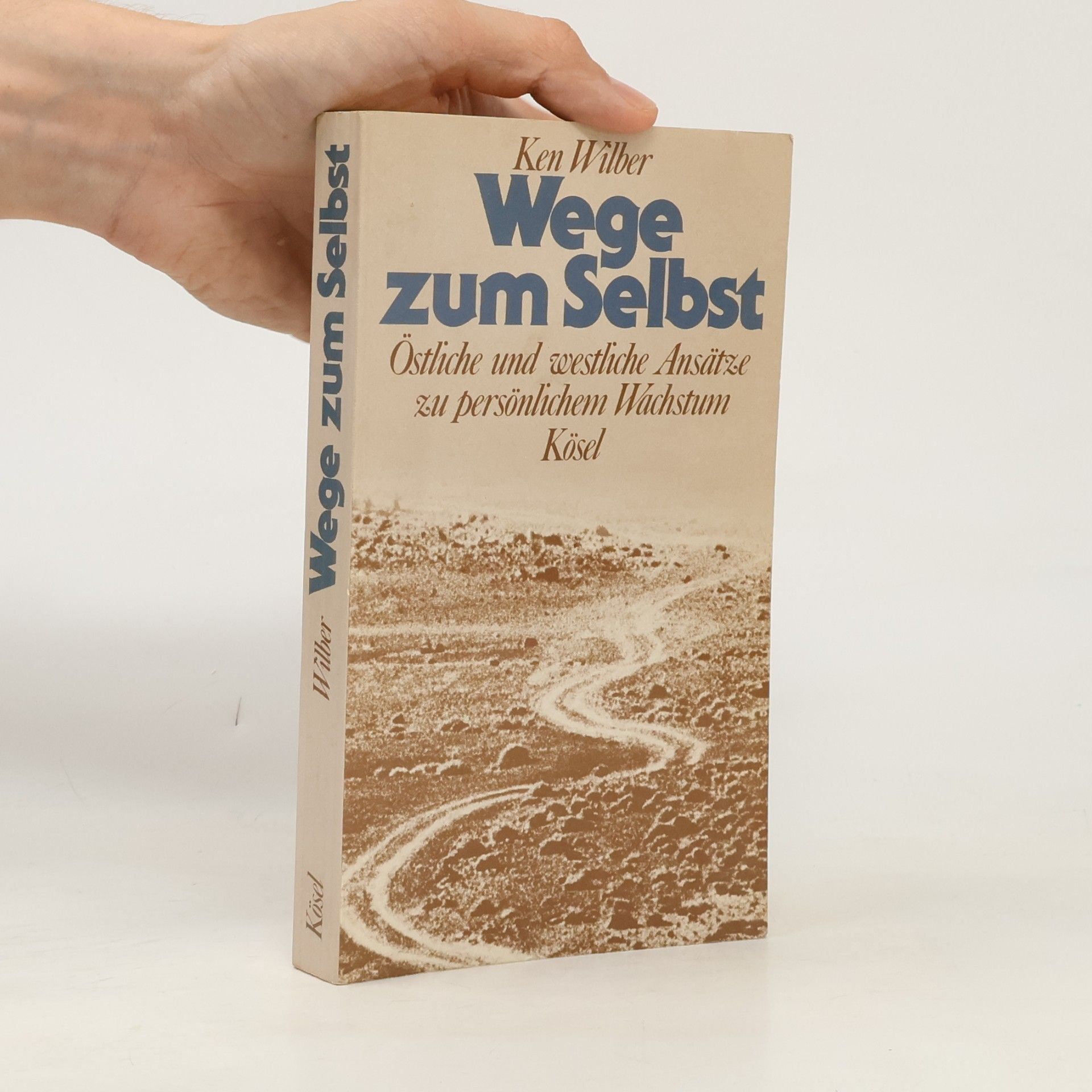 Ken Wilber Wege zum Selbst