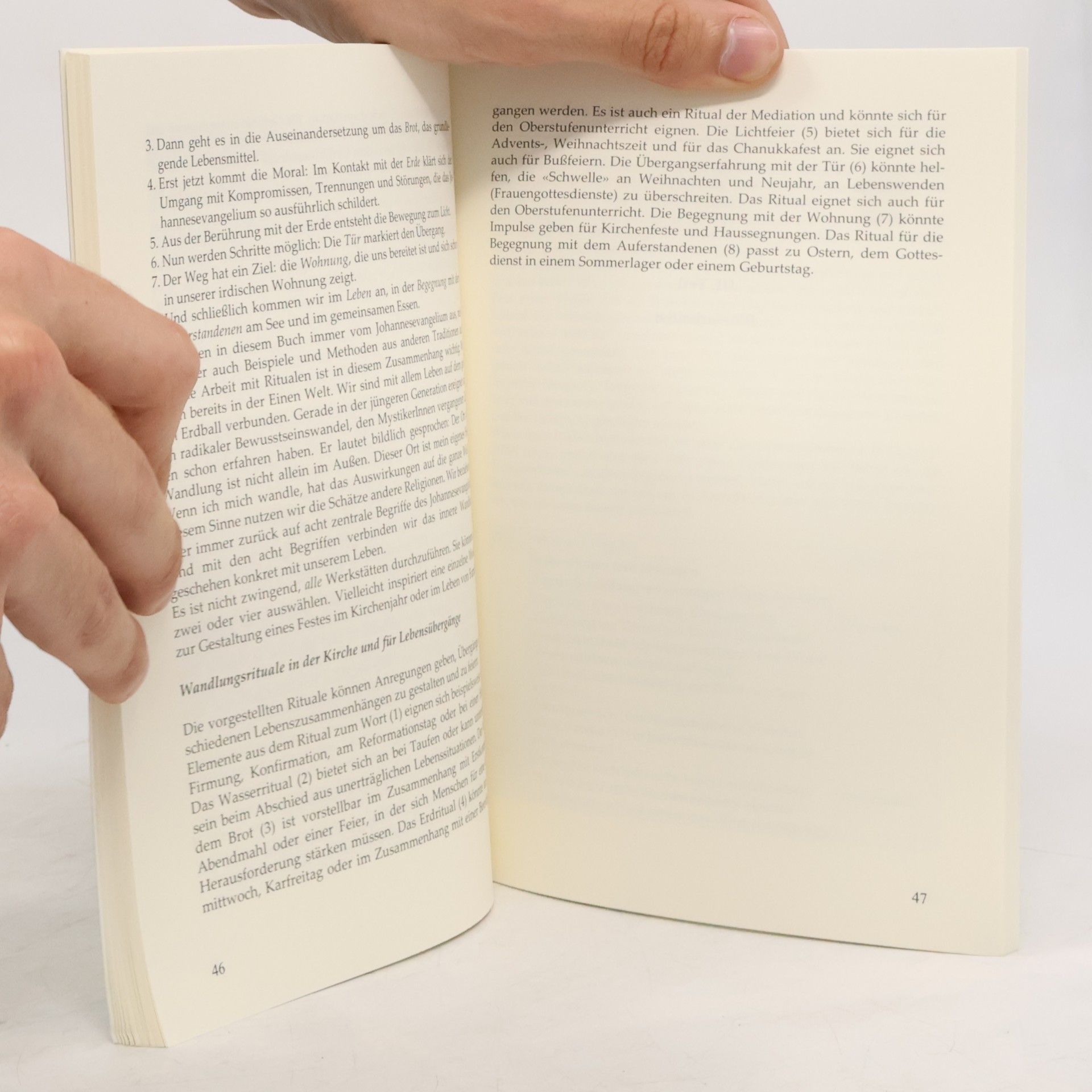 Regula Grünenfelder Werkstattbibel. Erde und Licht