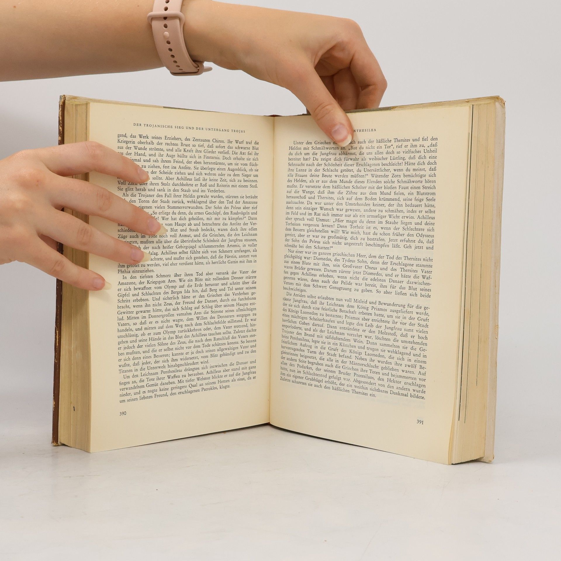 Gustav Schwab Die schönsten Sagen des klassischen Altertums