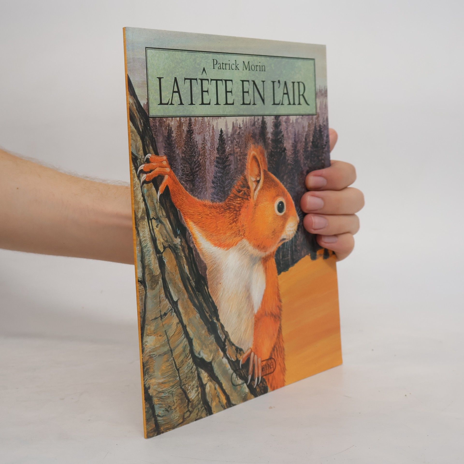 La tête en l'air