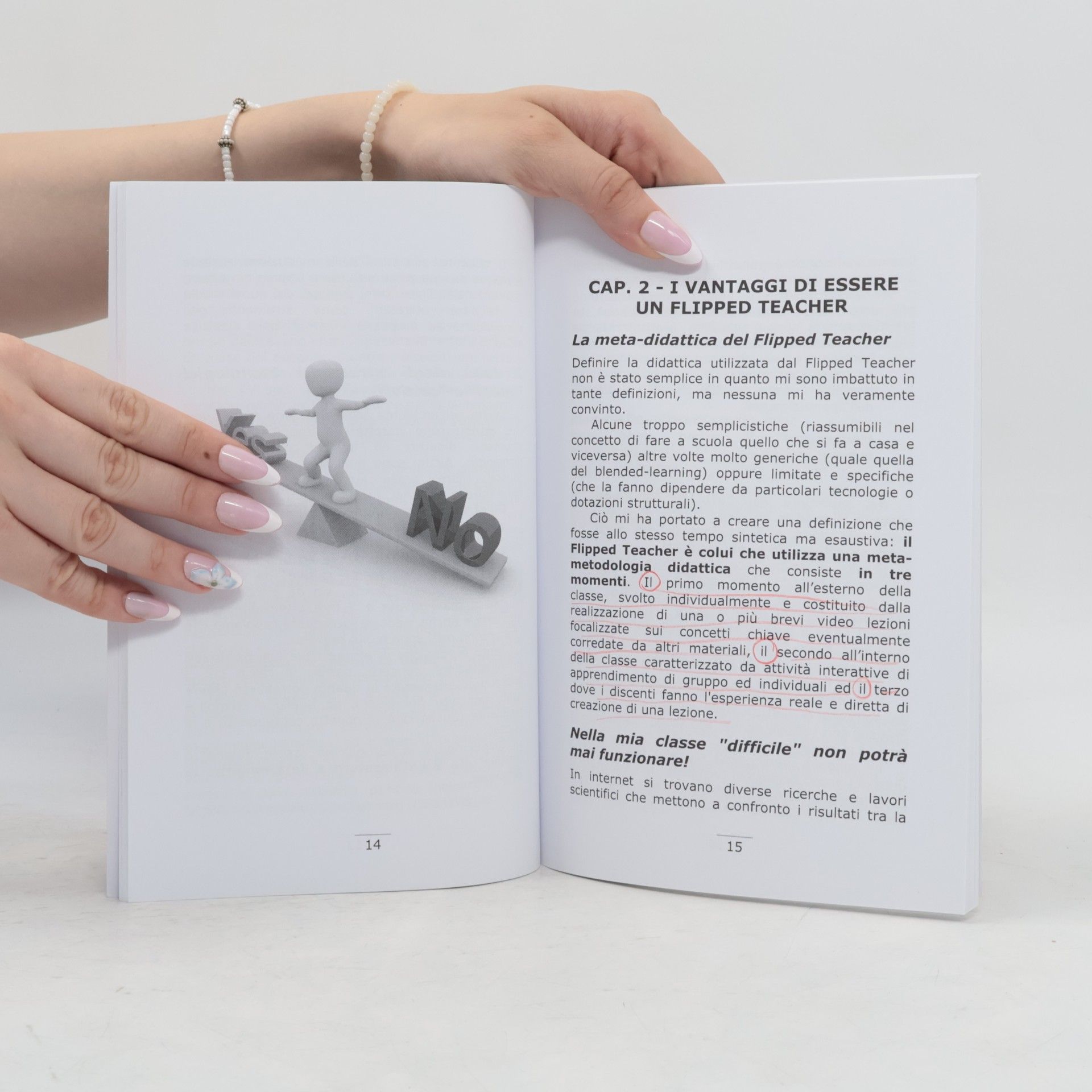 Severino Zeoli Flipped Teacher