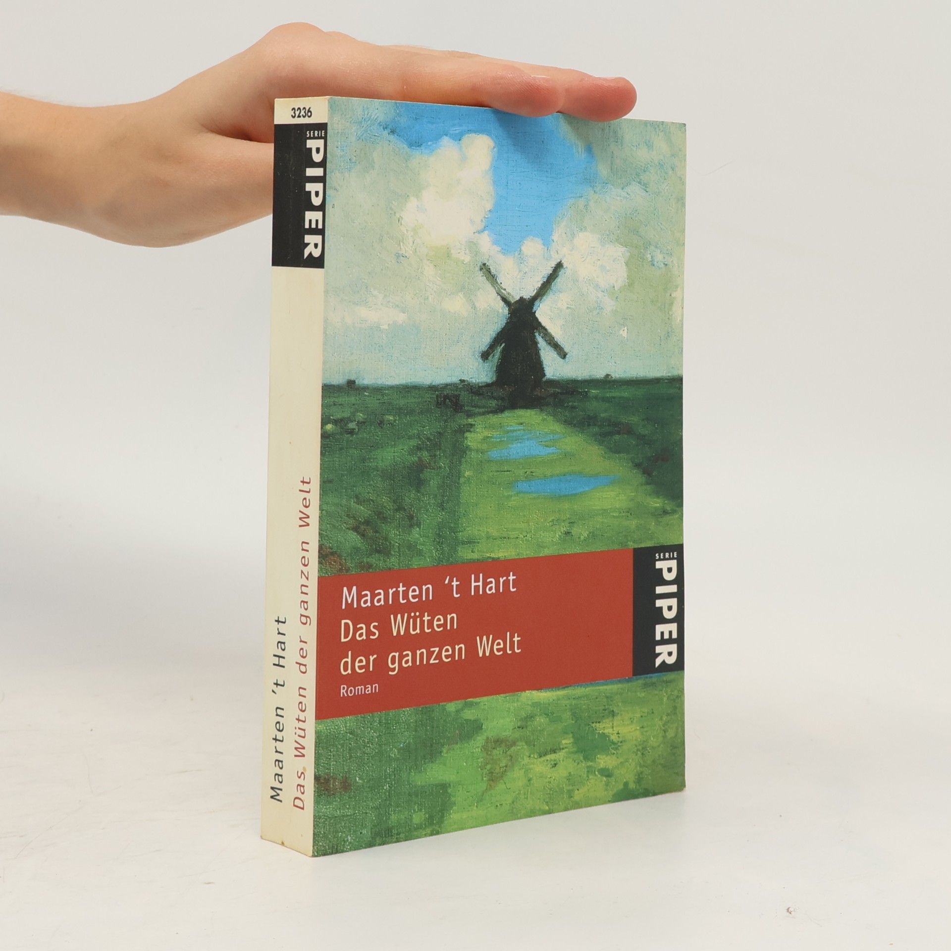 Maarten ’t Hart Das Wüten der ganzen Welt