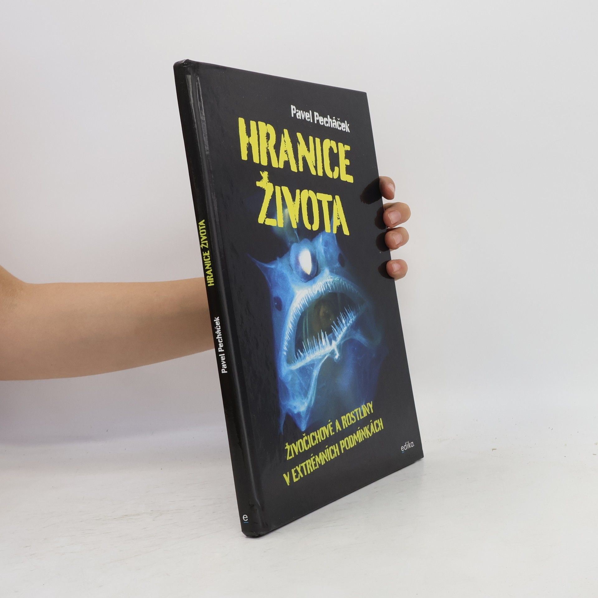 Pavel Pecháček Hranice života