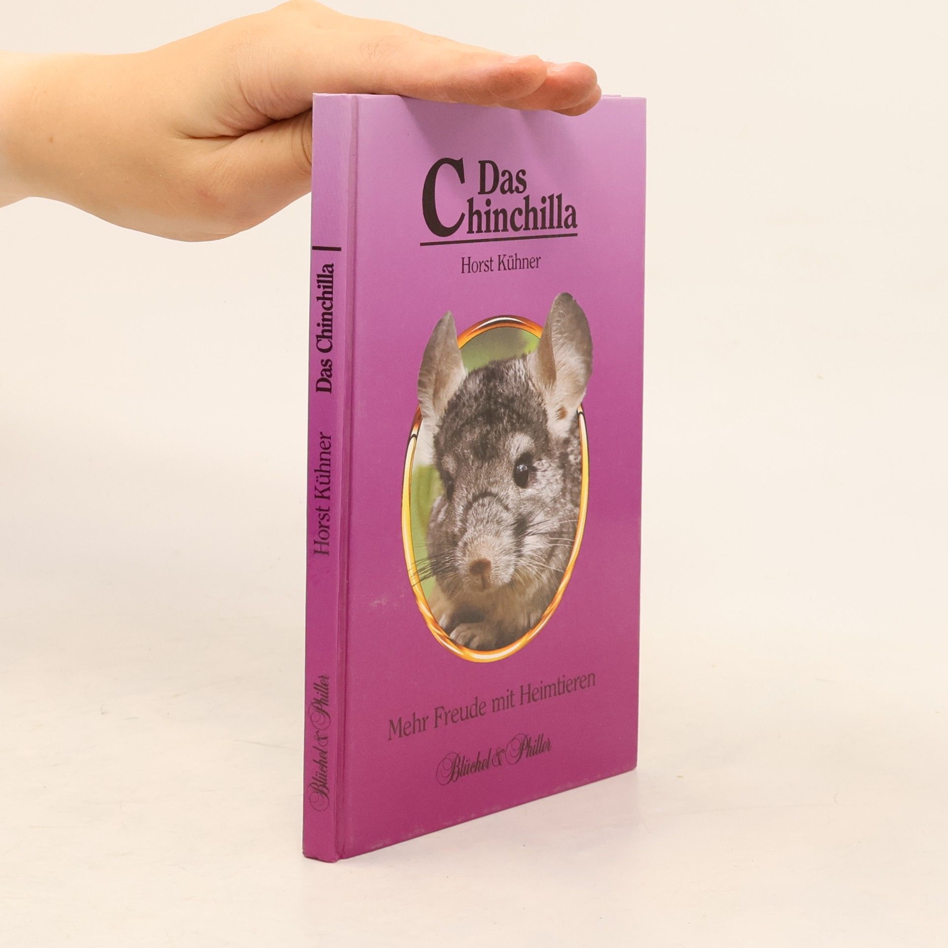Das Chinchilla