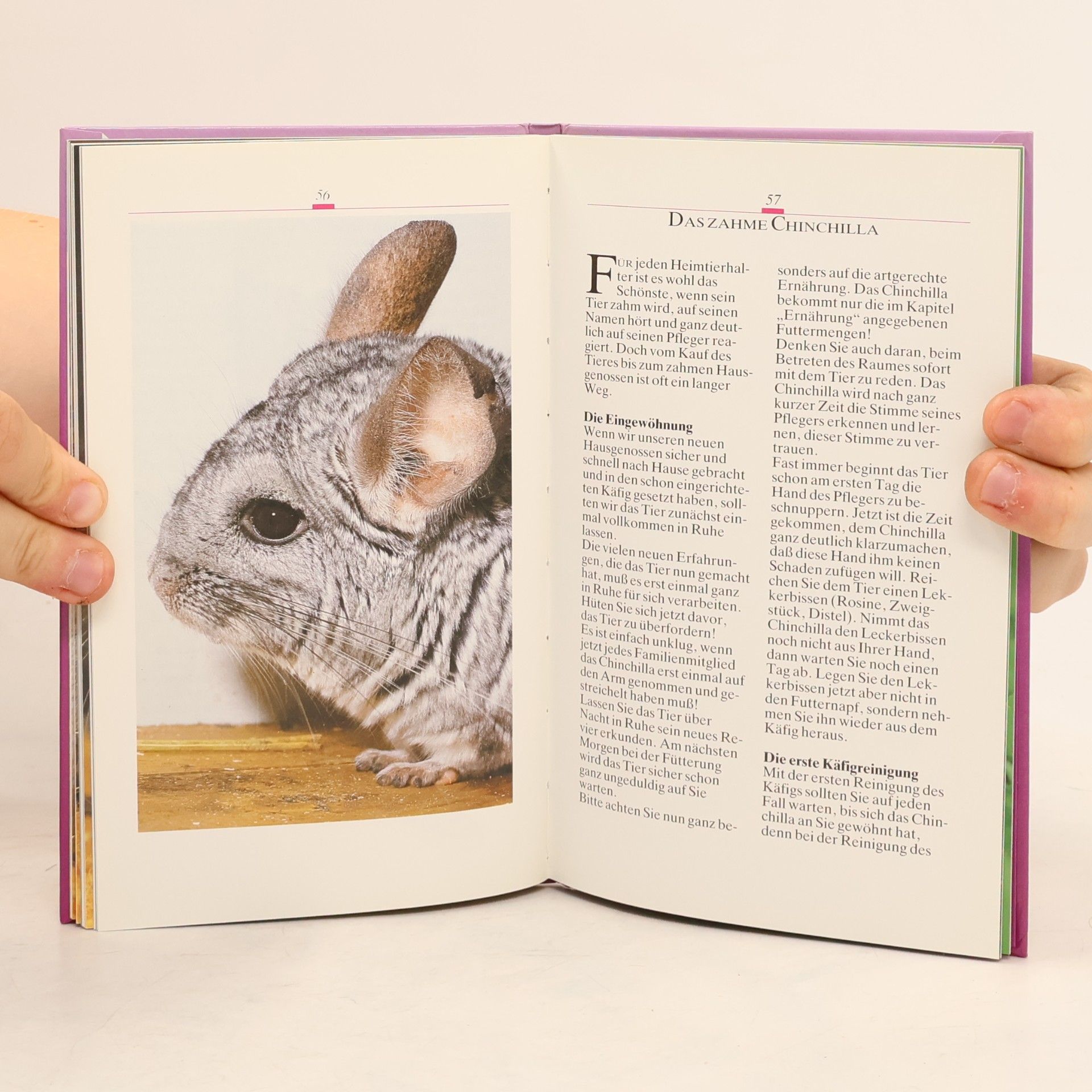 Horst Kühner Das Chinchilla