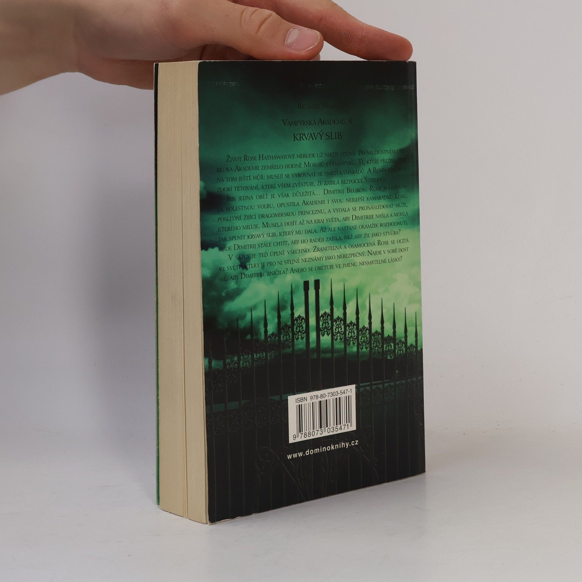 Richelle Mead Vampýrská akademie 4: Krvavý slib
