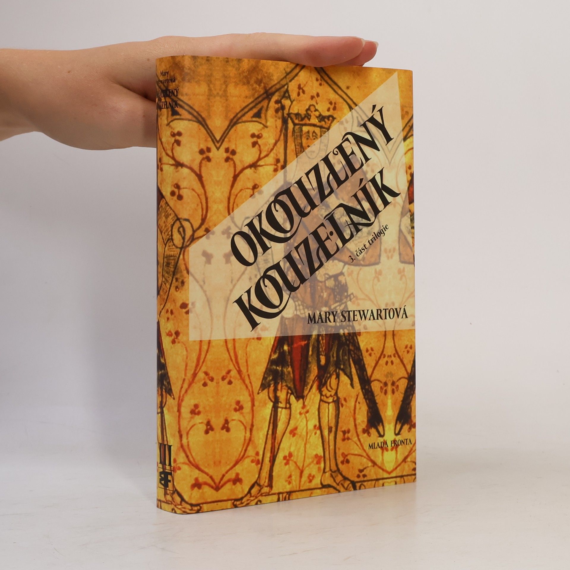 Mary Stewart Okouzlený kouzelník