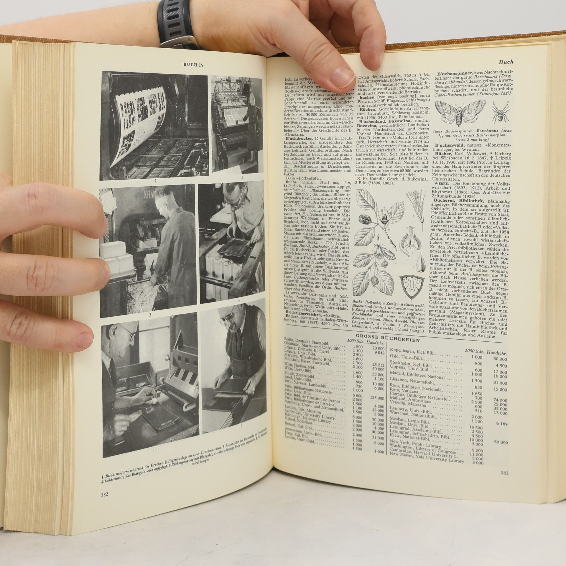Autorenkollektiv Der Neue Brockhaus 1. A-D