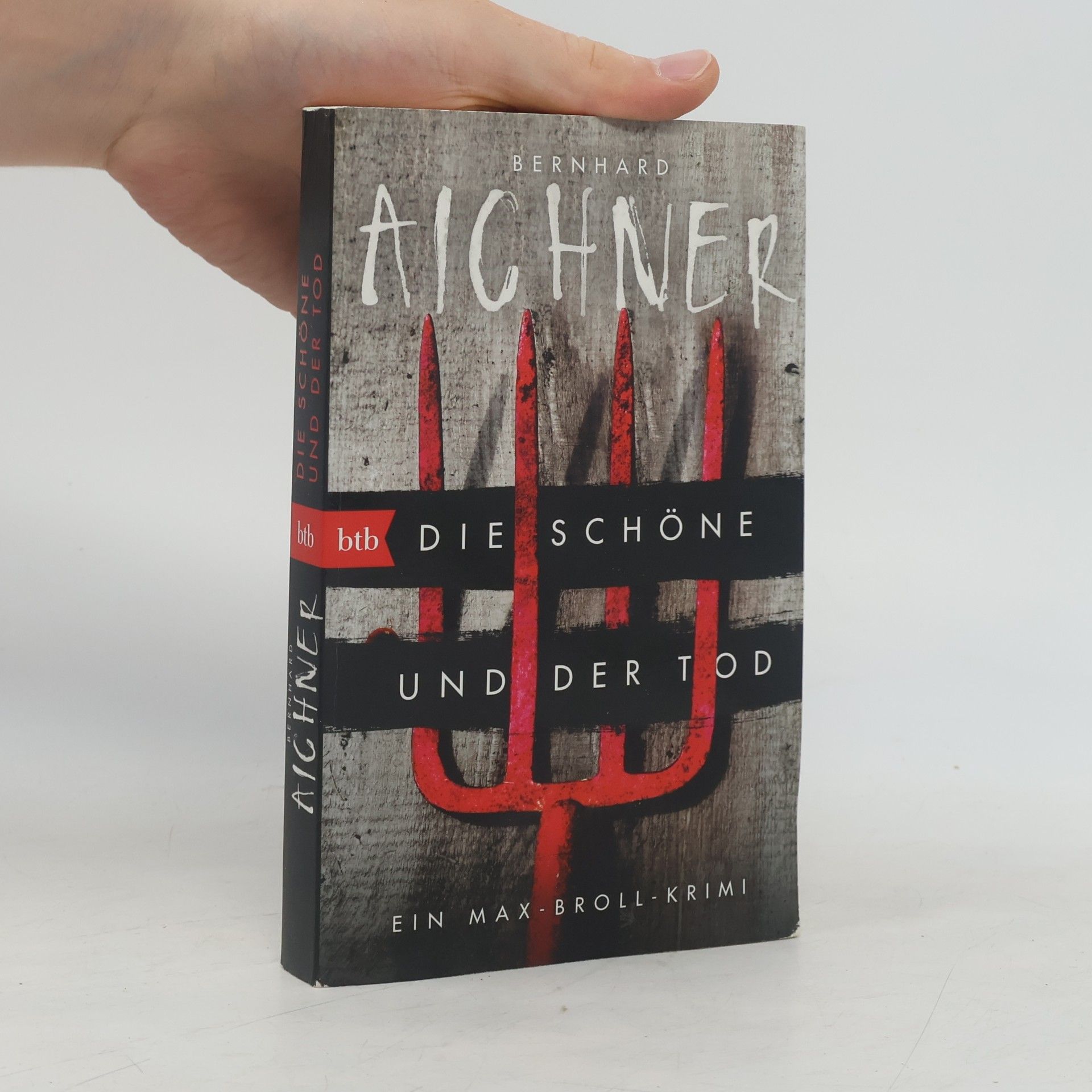 Bernhard Aichner Die Schöne und der Tod