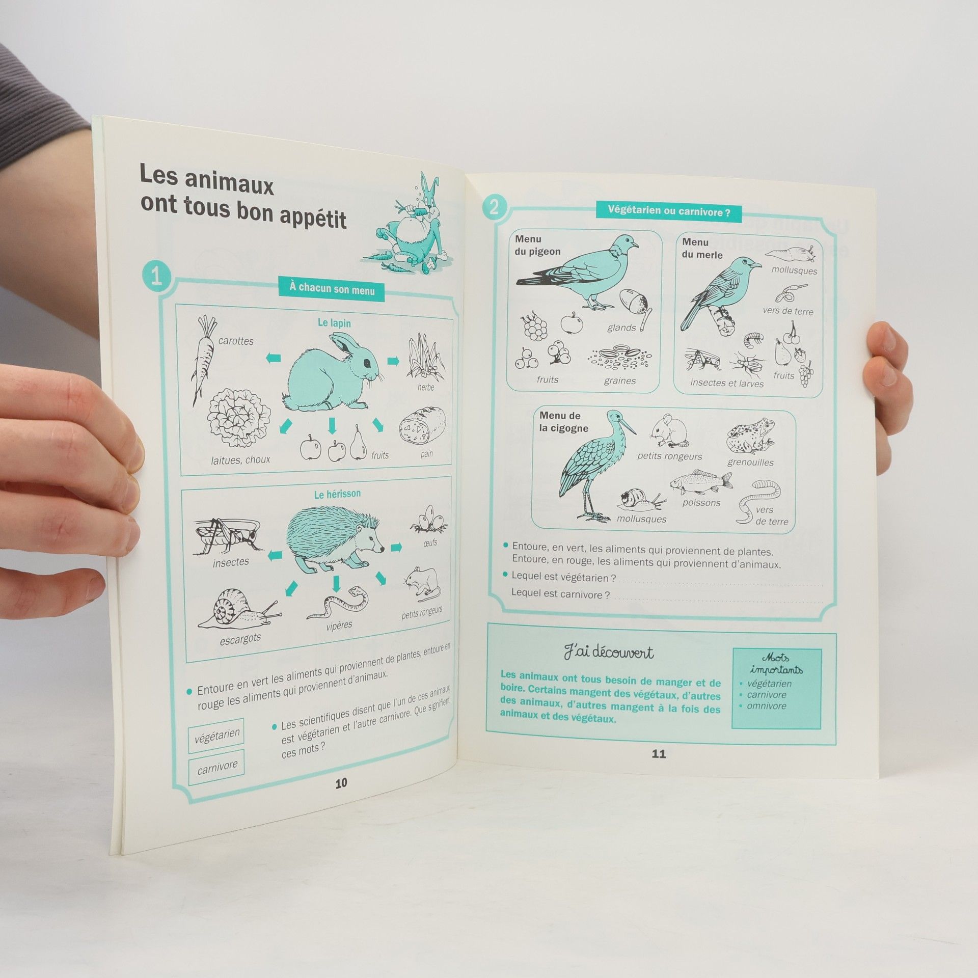 Raymond Tavernier Nouvelle Collection Tavernier: Cahier d'activités