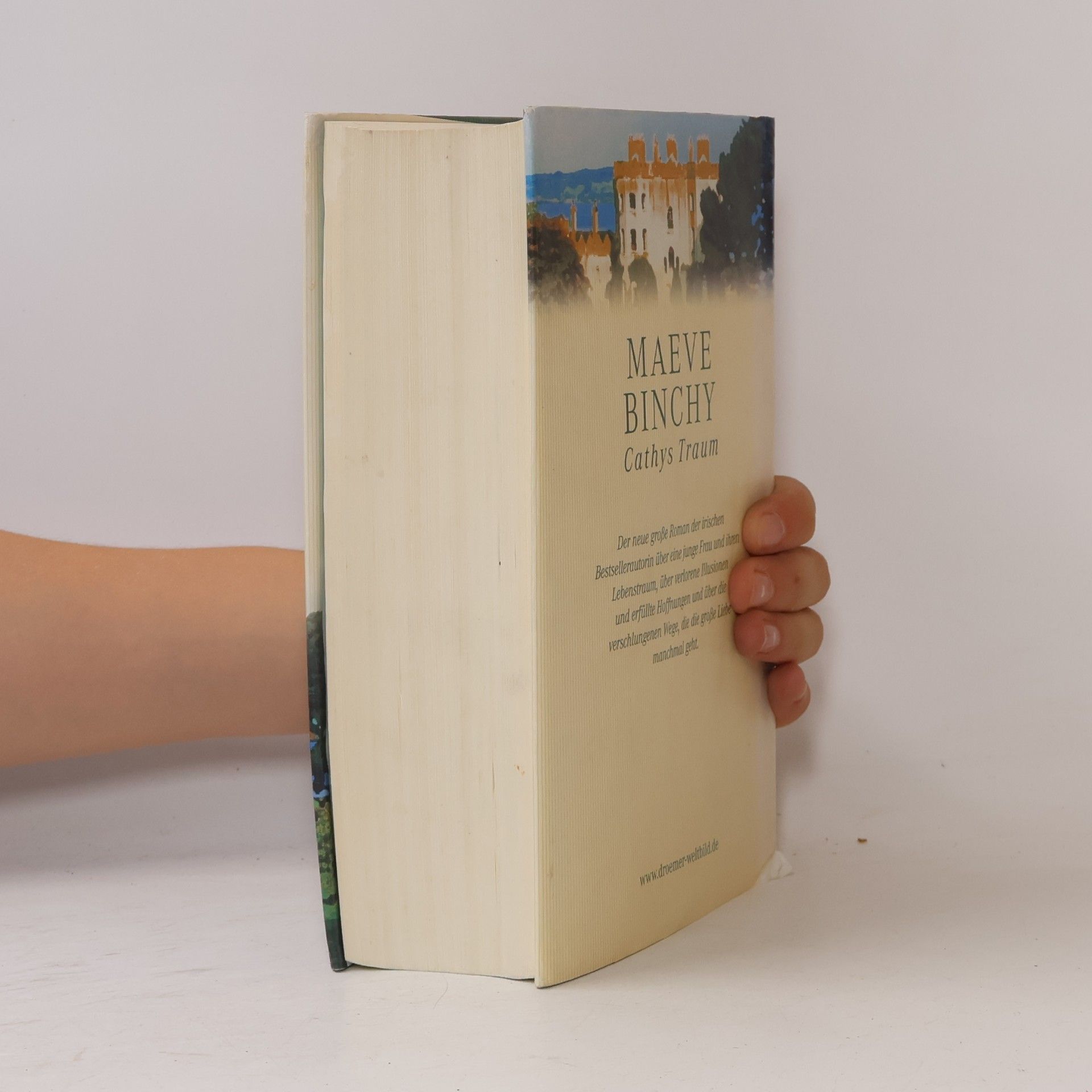 Maeve Binchy Cathys Traum