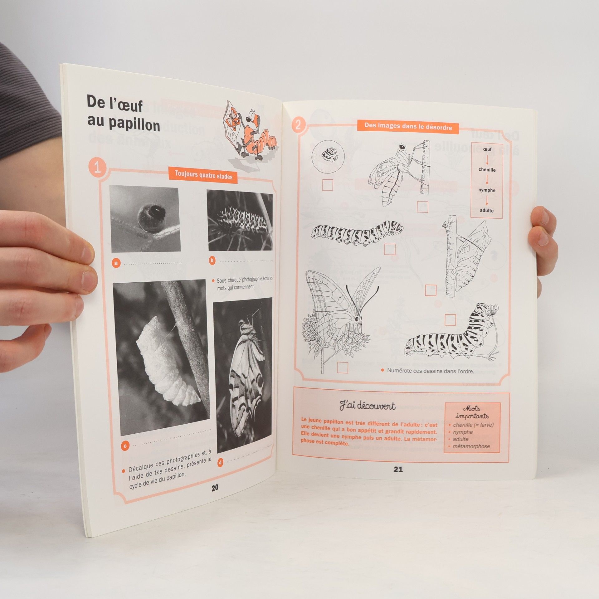 Raymond Tavernier Nouvelle collection Tavernier: Cahier d'activités biologie CE2 cycle des apprentissages fondamentaux