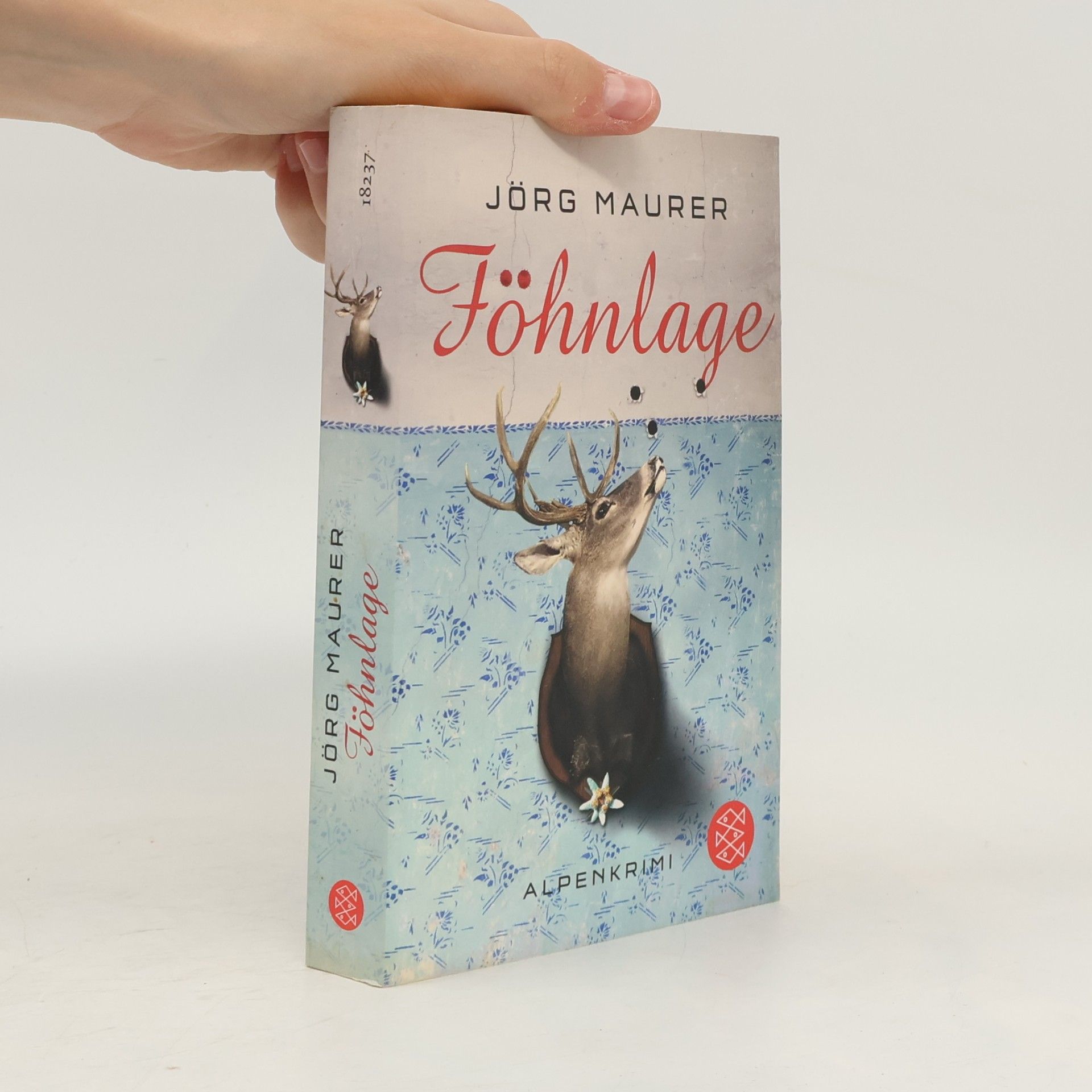Jörg Maurer Föhnlage