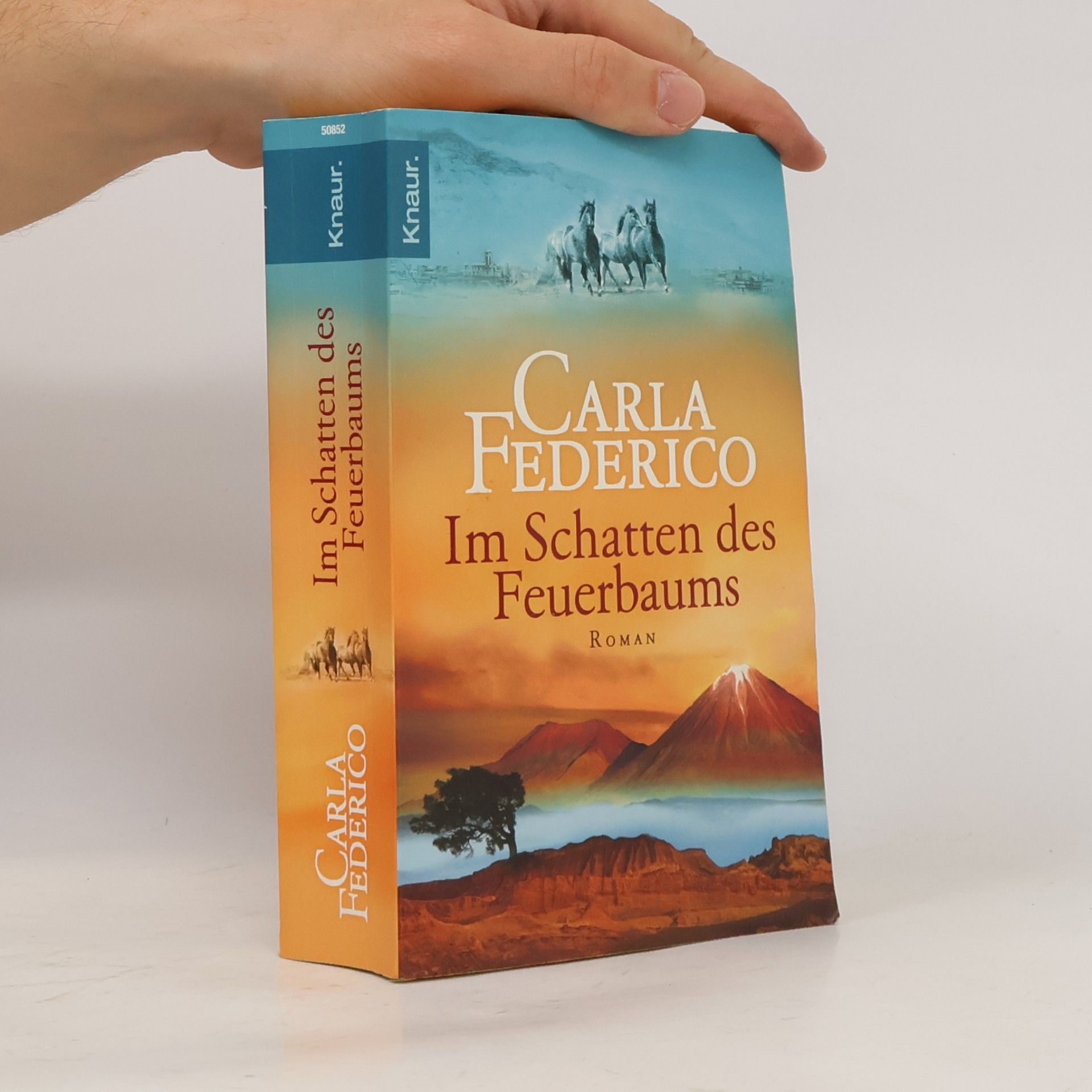 Im Schatten des Feuerbaums