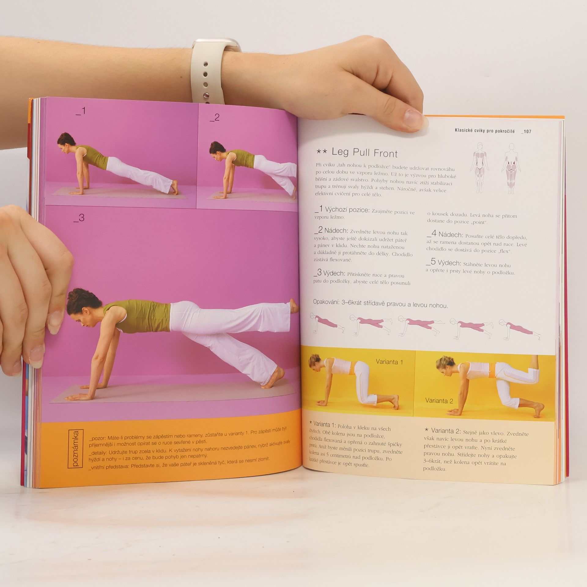 Michaela Bimbi-Dresp Velká kniha cvičení Pilates