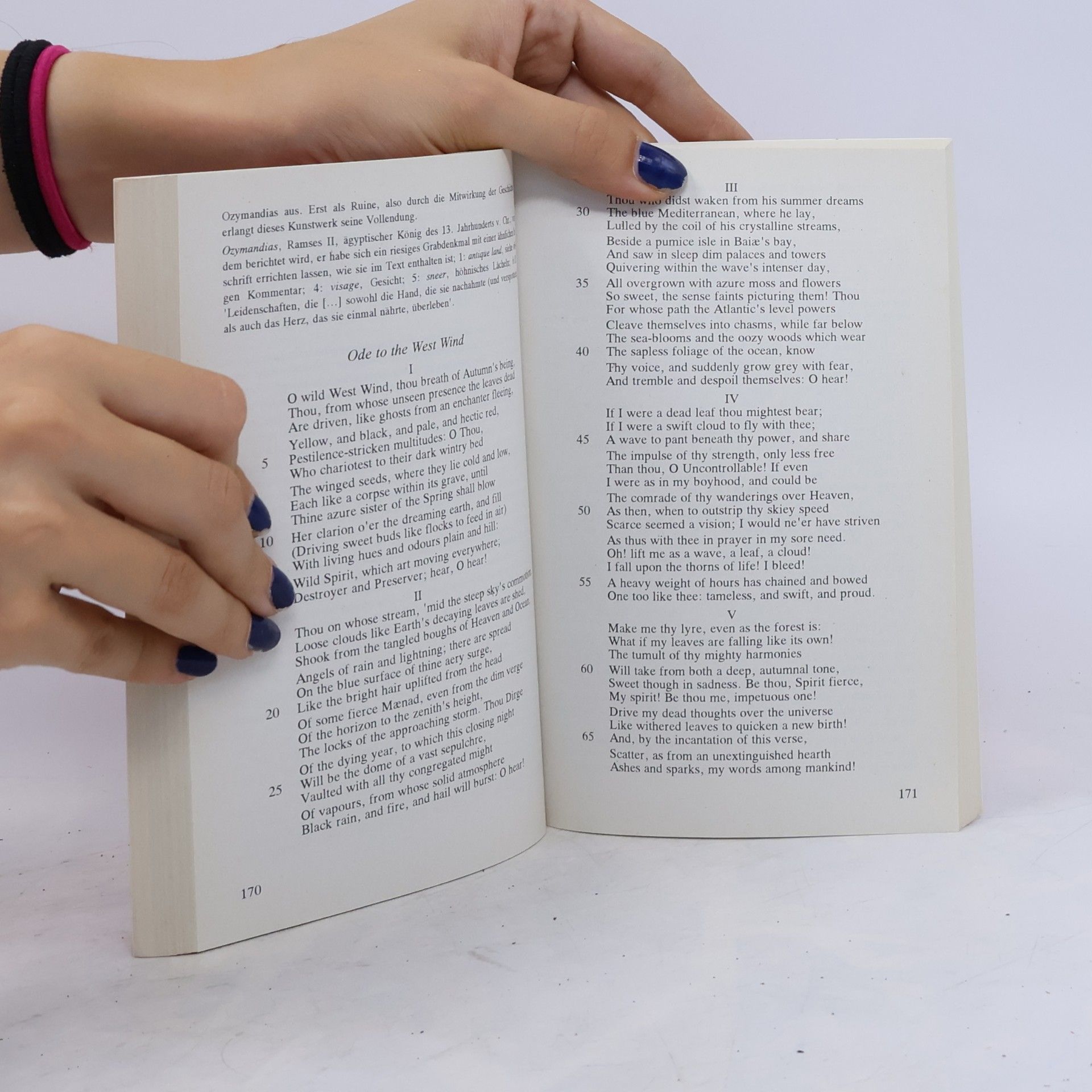 Arno Löffler English Poetry. Eine Anthologie für das Studium.