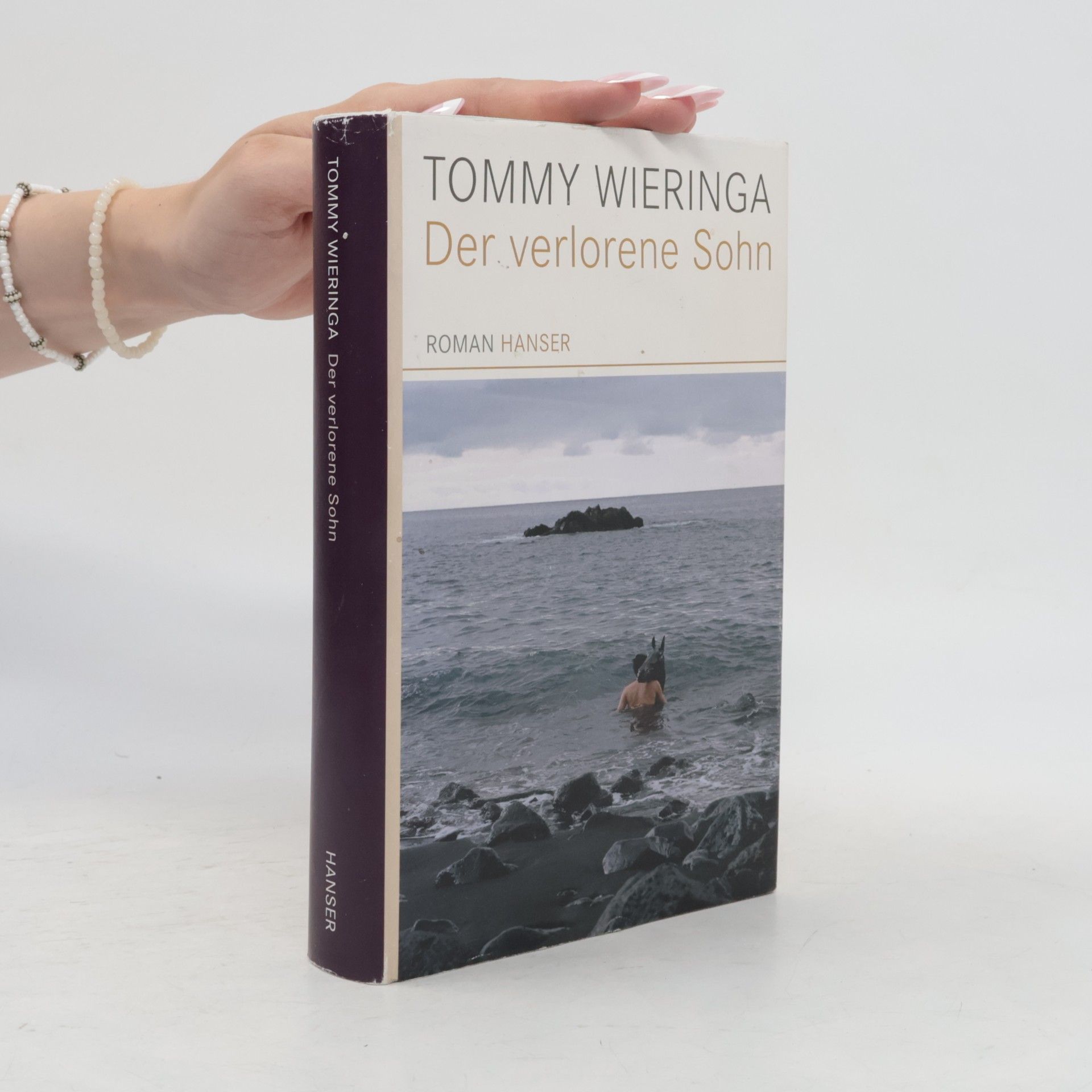 Tommy Wieringa Der verlorene Sohn