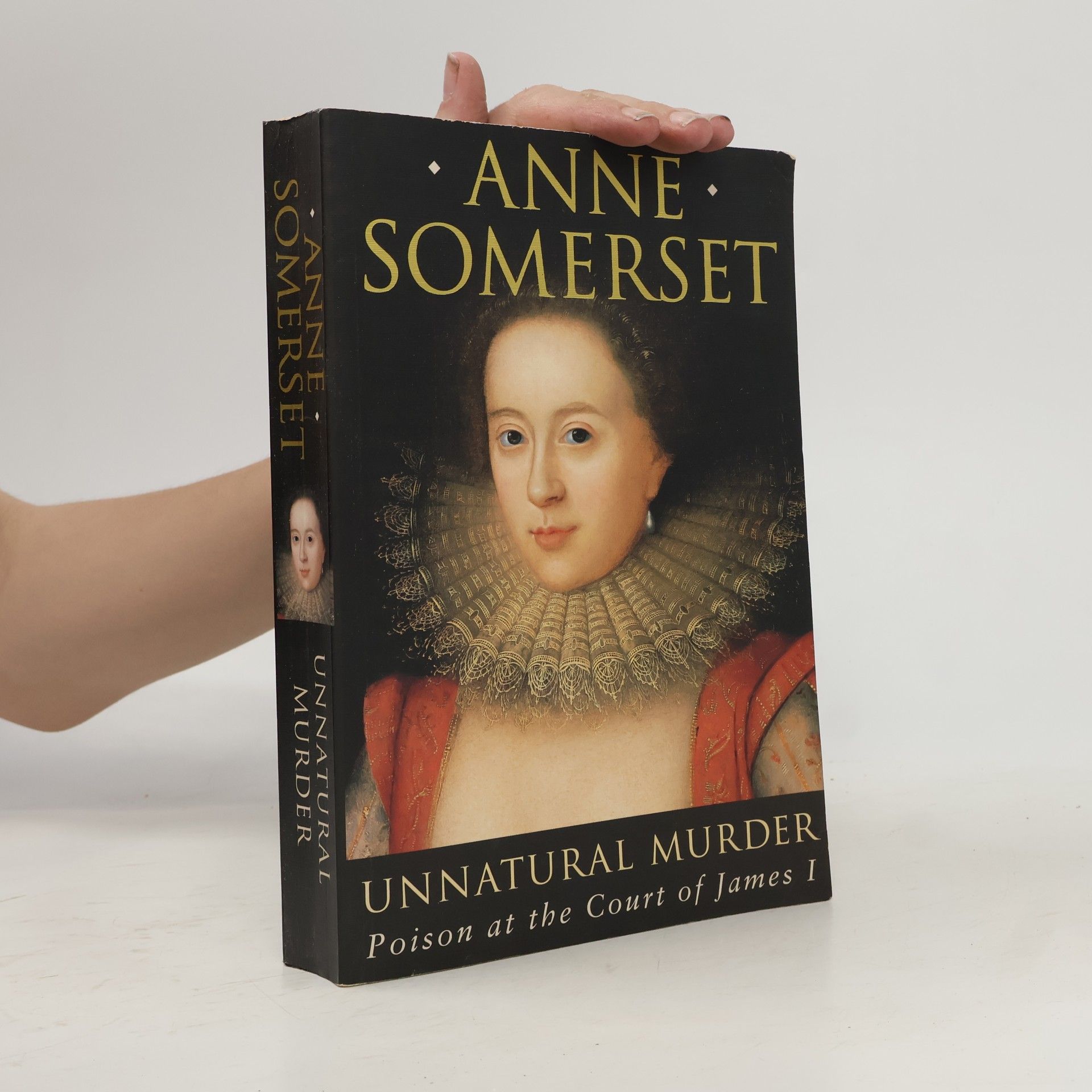 Anne Somerset Unnatural Murder