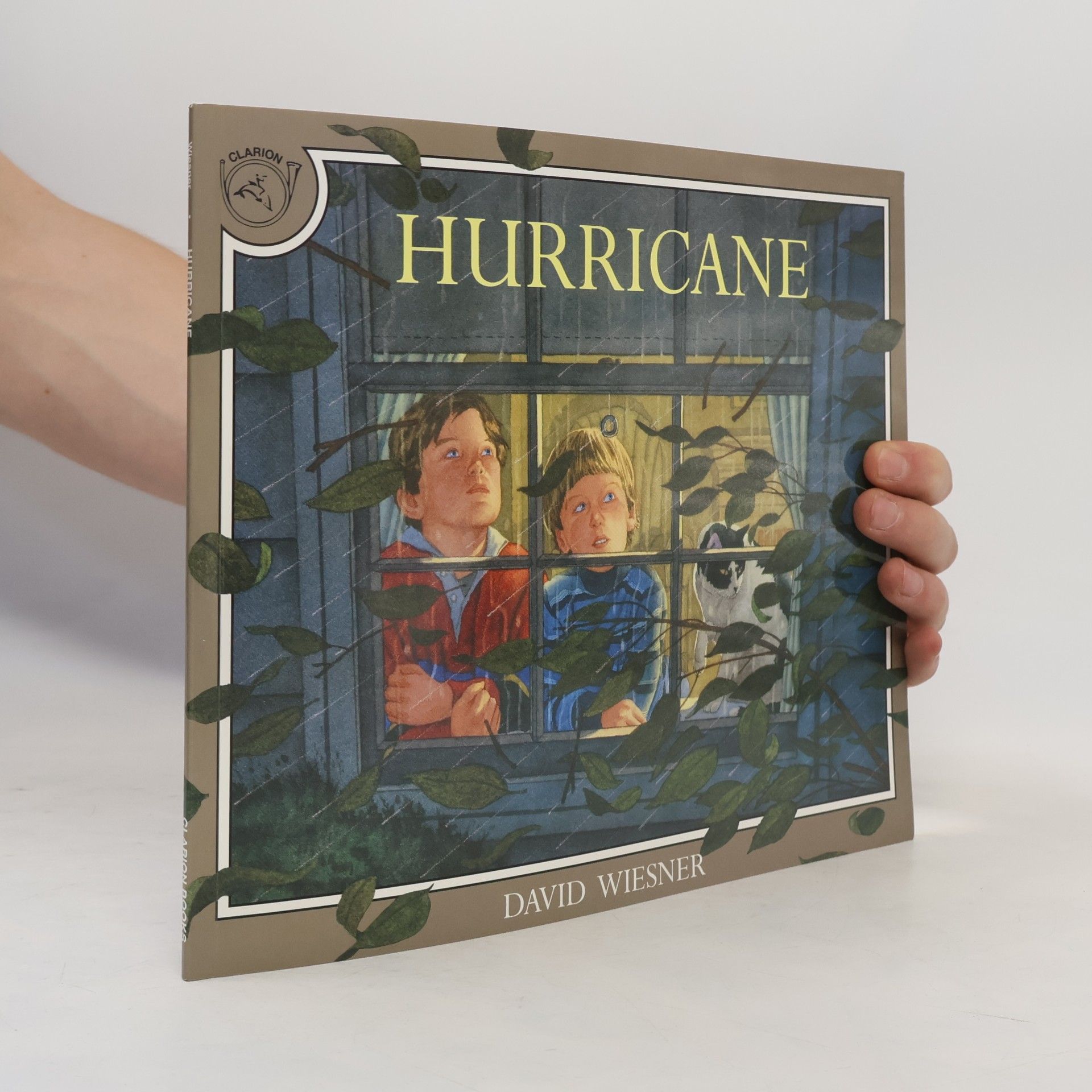 David Wiesner Hurricane