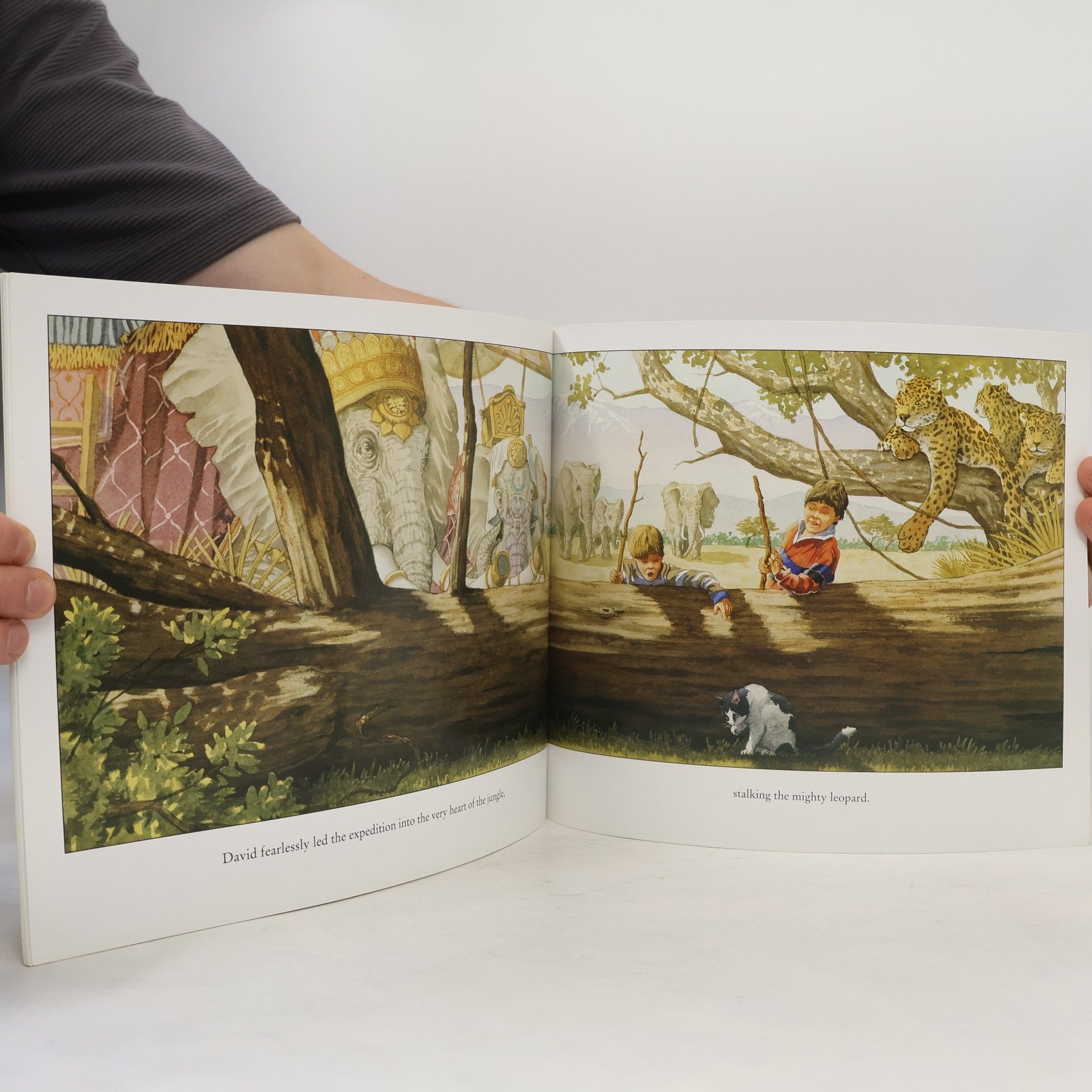 David Wiesner Hurricane