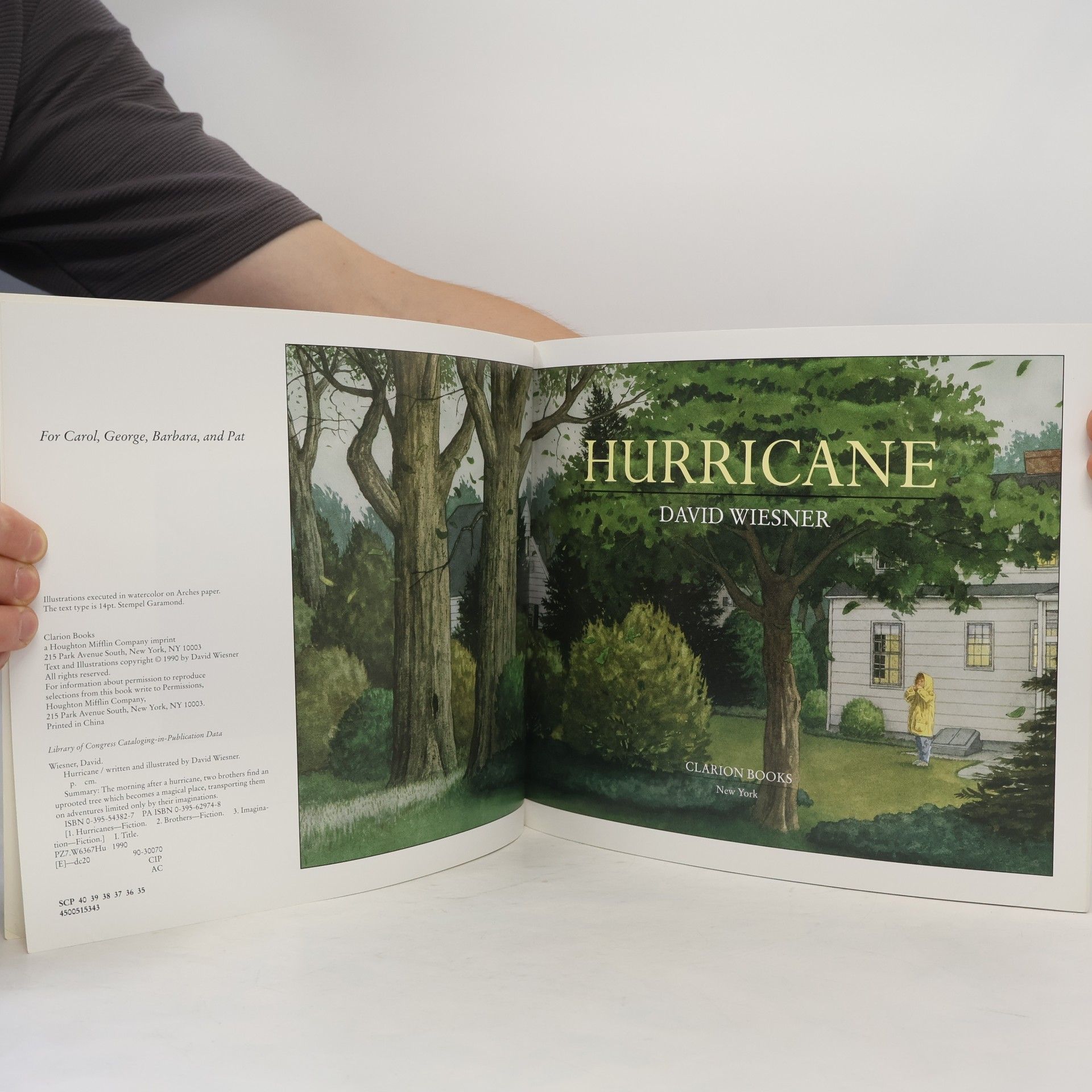 David Wiesner Hurricane