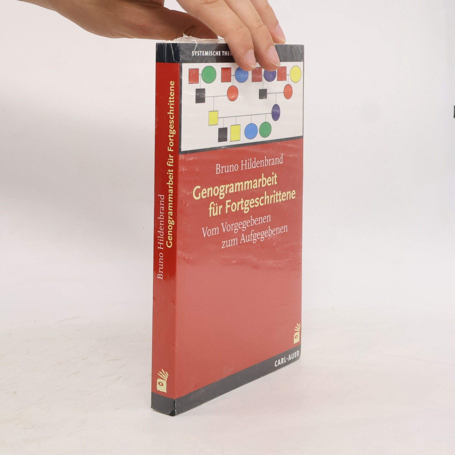 Genogrammarbeit für Fortgeschrittene