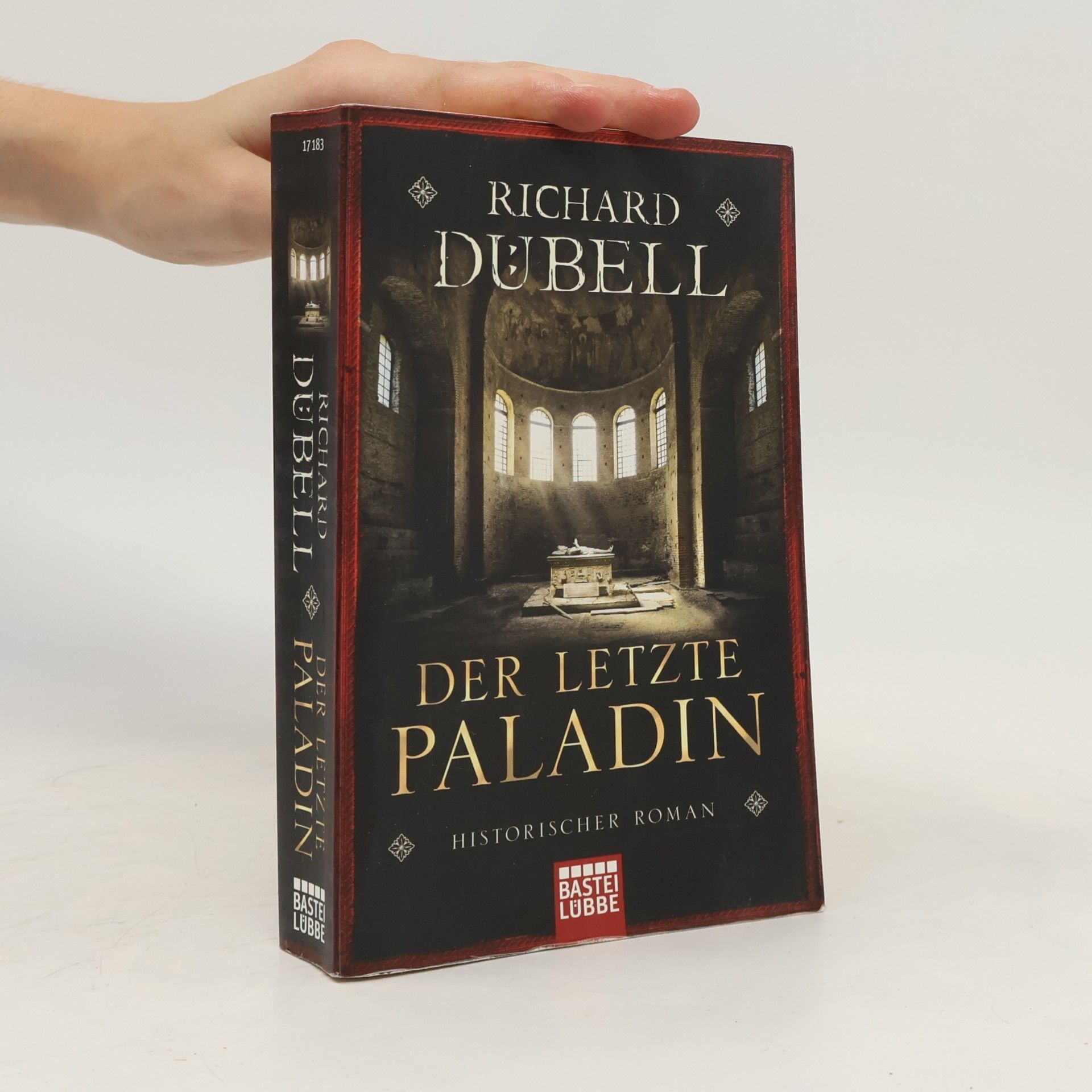 Richard Dübell Der letzte Paladin