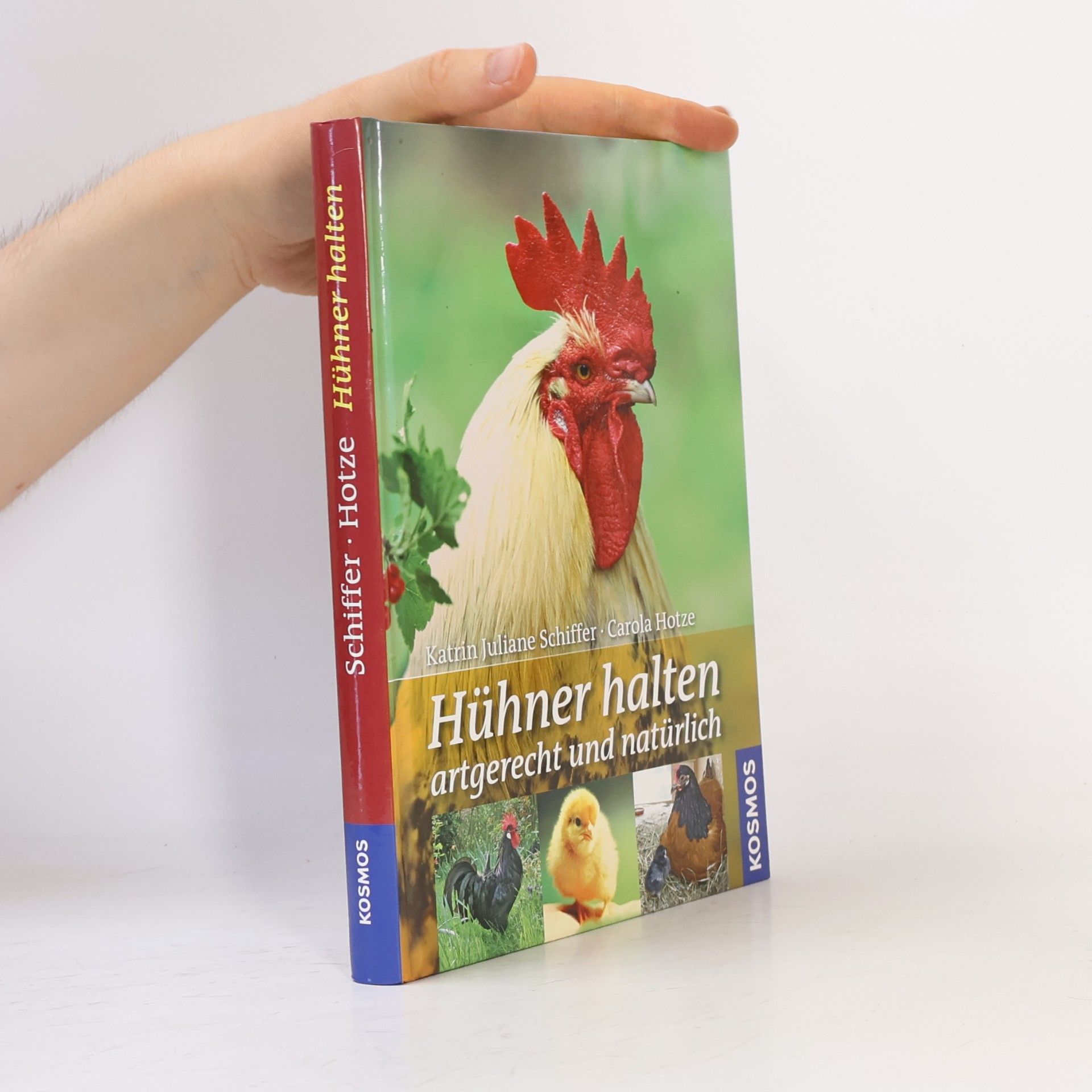Katrin Juliane Schiffer Hühner halten