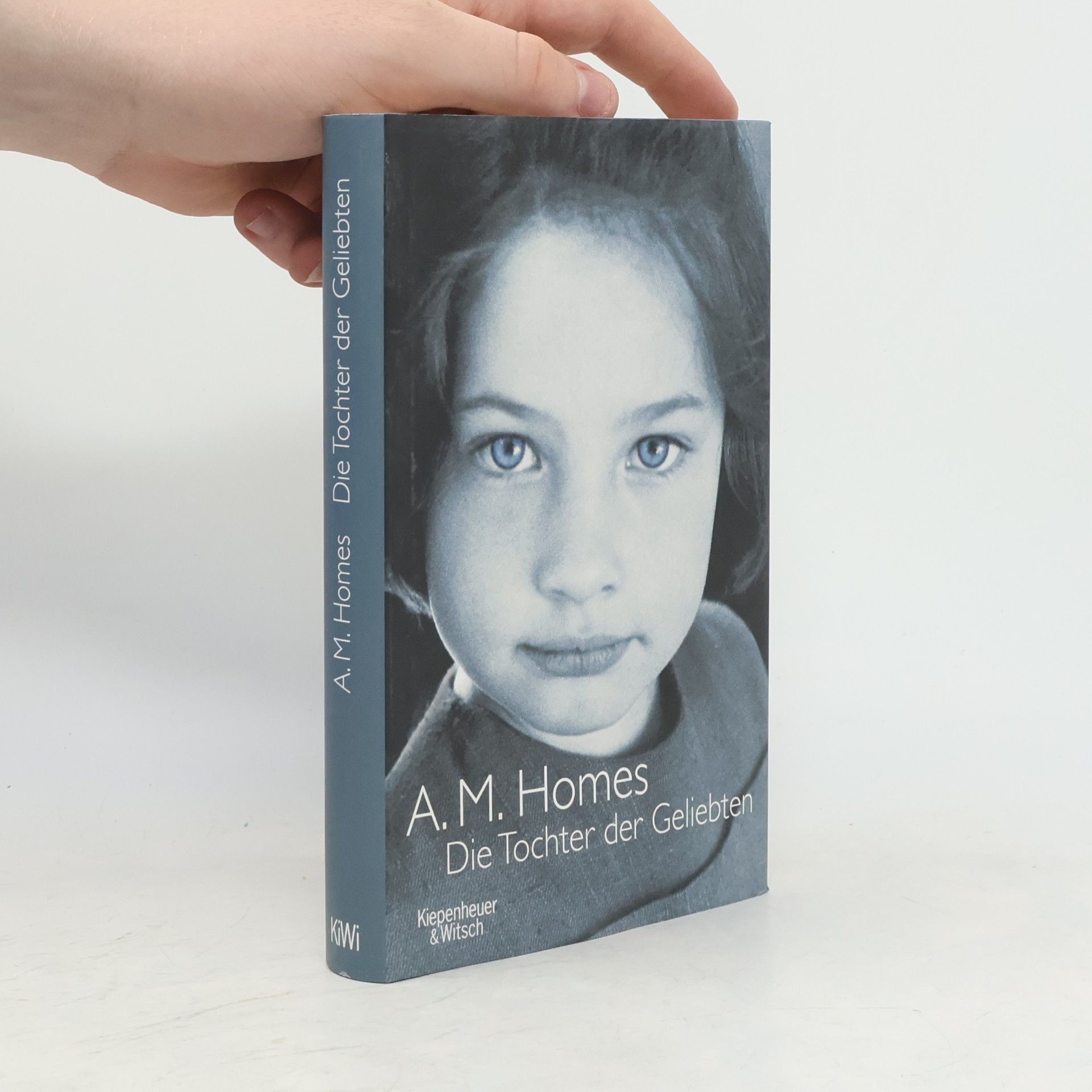 A. M. Homes Die Tochter der Geliebten