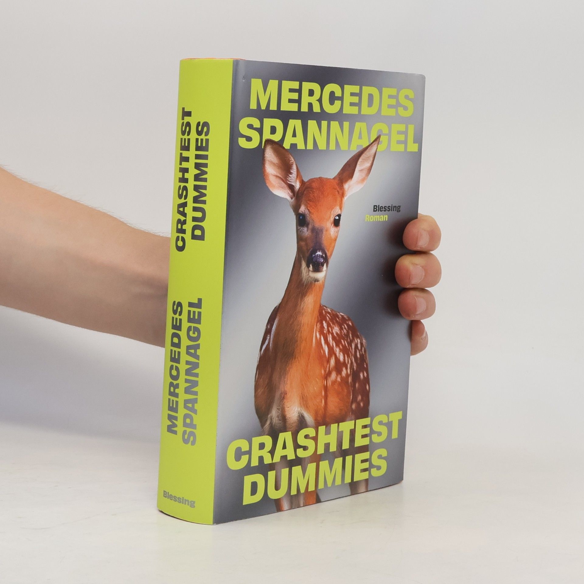 Mercedes Spannagel Crashtest Dummies