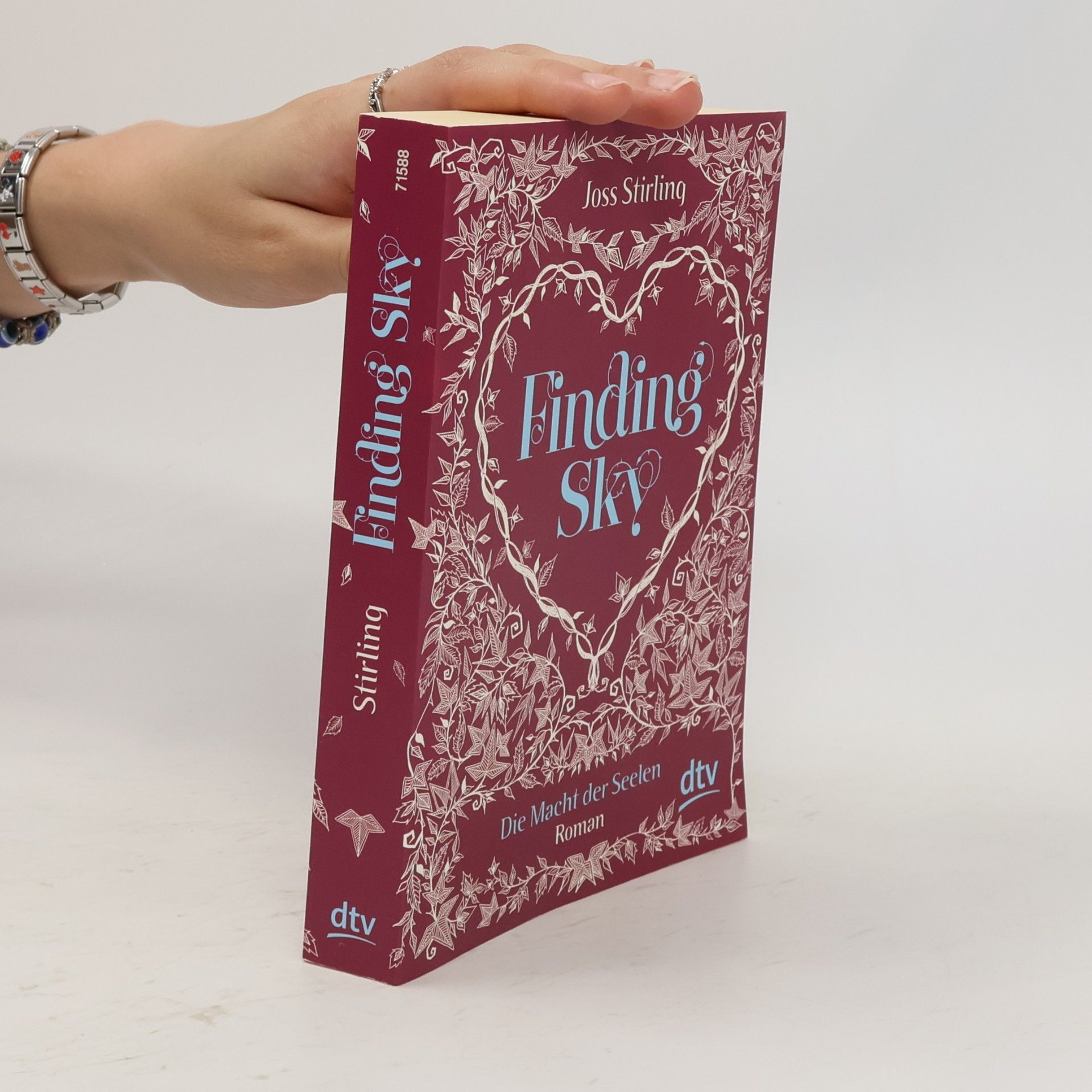 Julia Golding Finding Sky