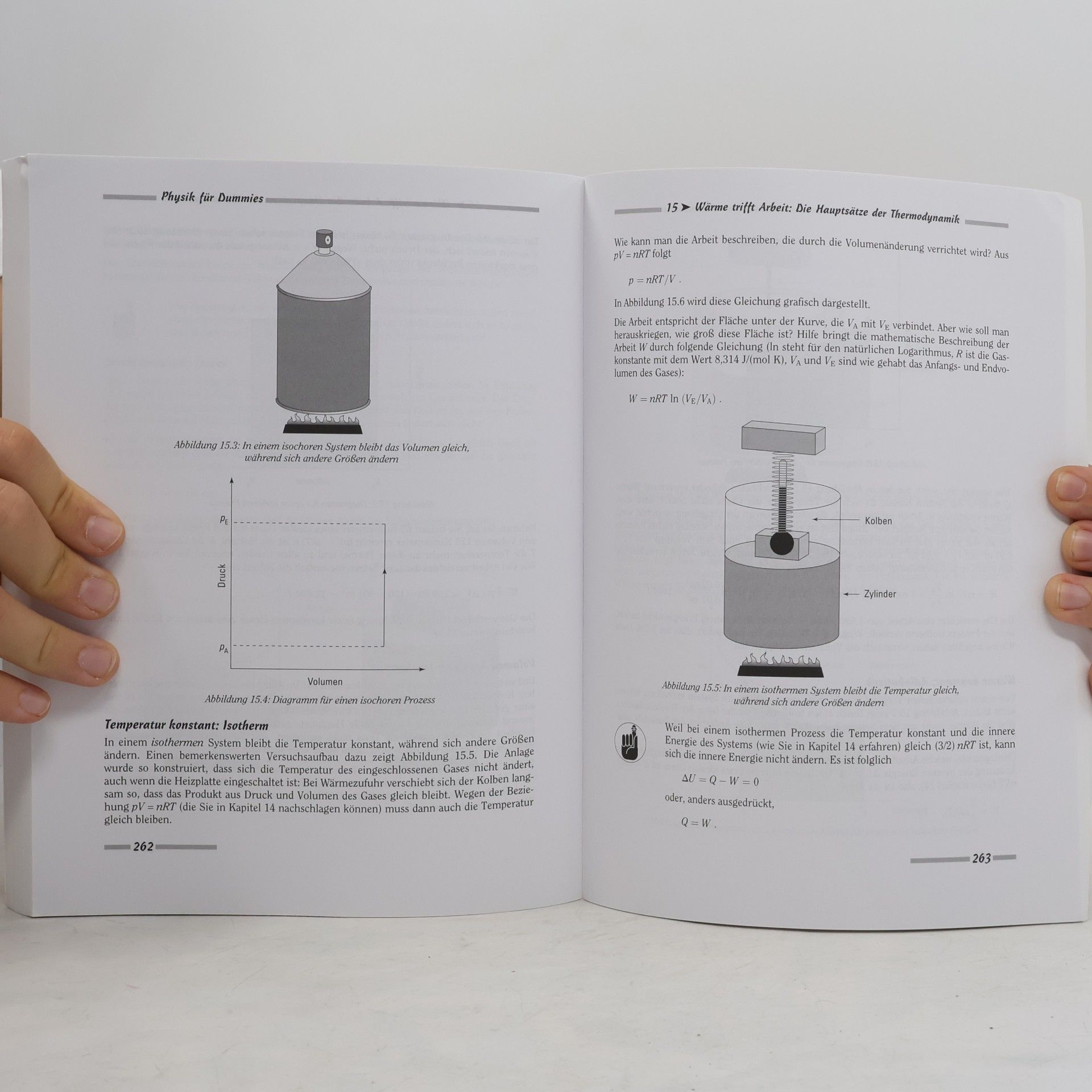 Steven Holzner Physik für Dummies
