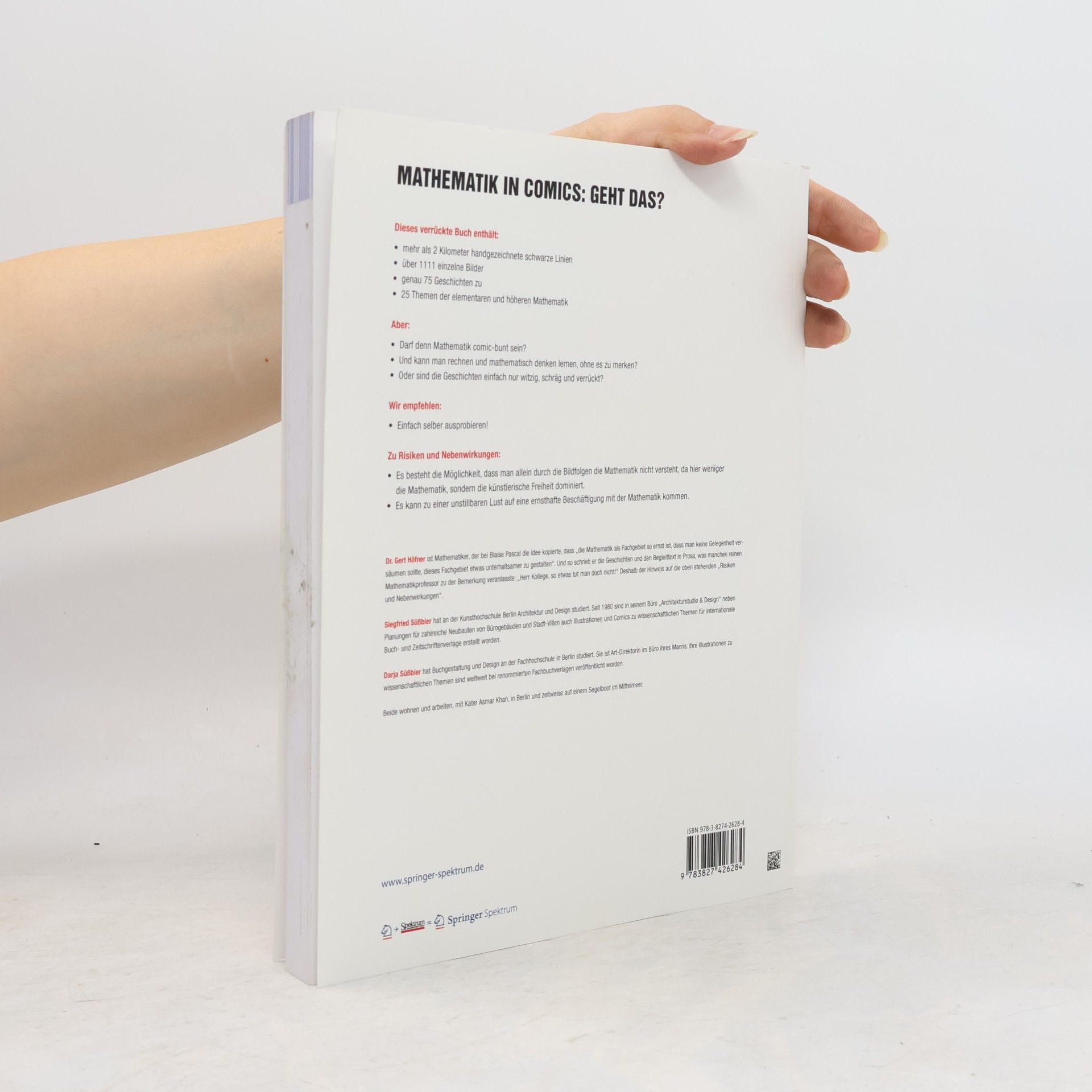 Gert Höfner Das verrückte Mathe-Comic-Buch