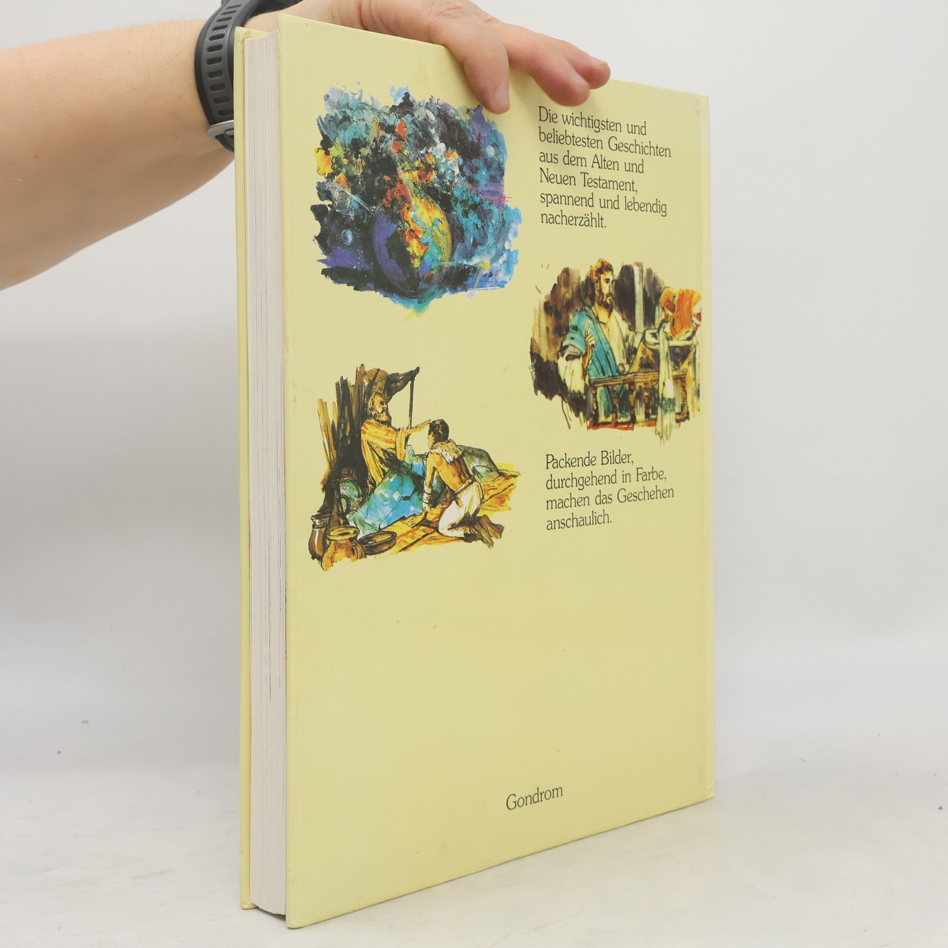 Autorenkollektiv Die große Kinderbibel