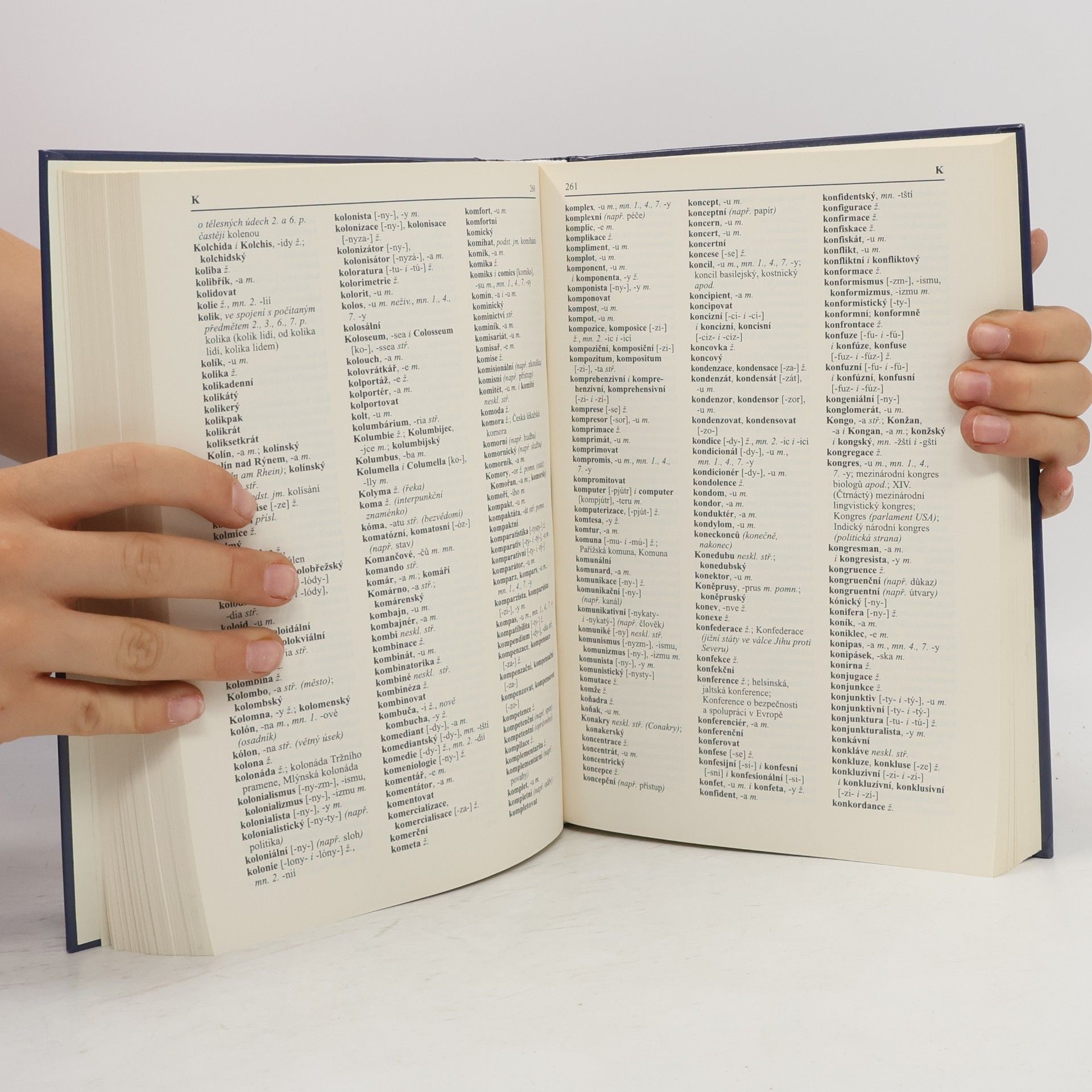 Autorenkollektiv Pravidla českého pravopisu s výkladem mluvnice