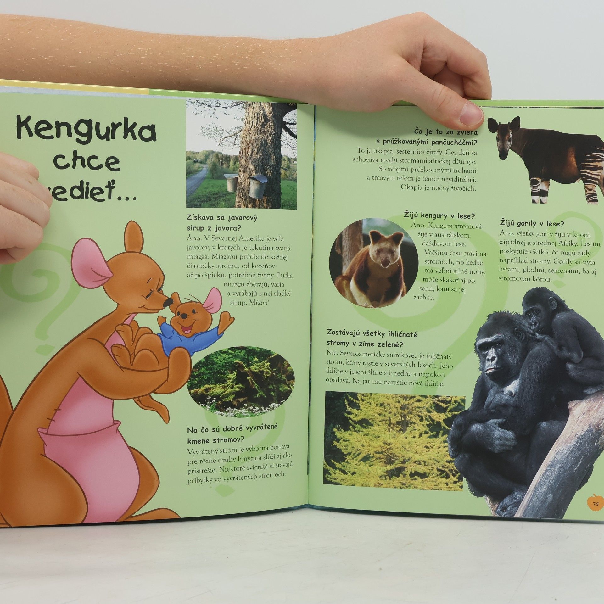 Various authors Moja prvá kniha lesov s Mackom Puf a jeho kamarátmi